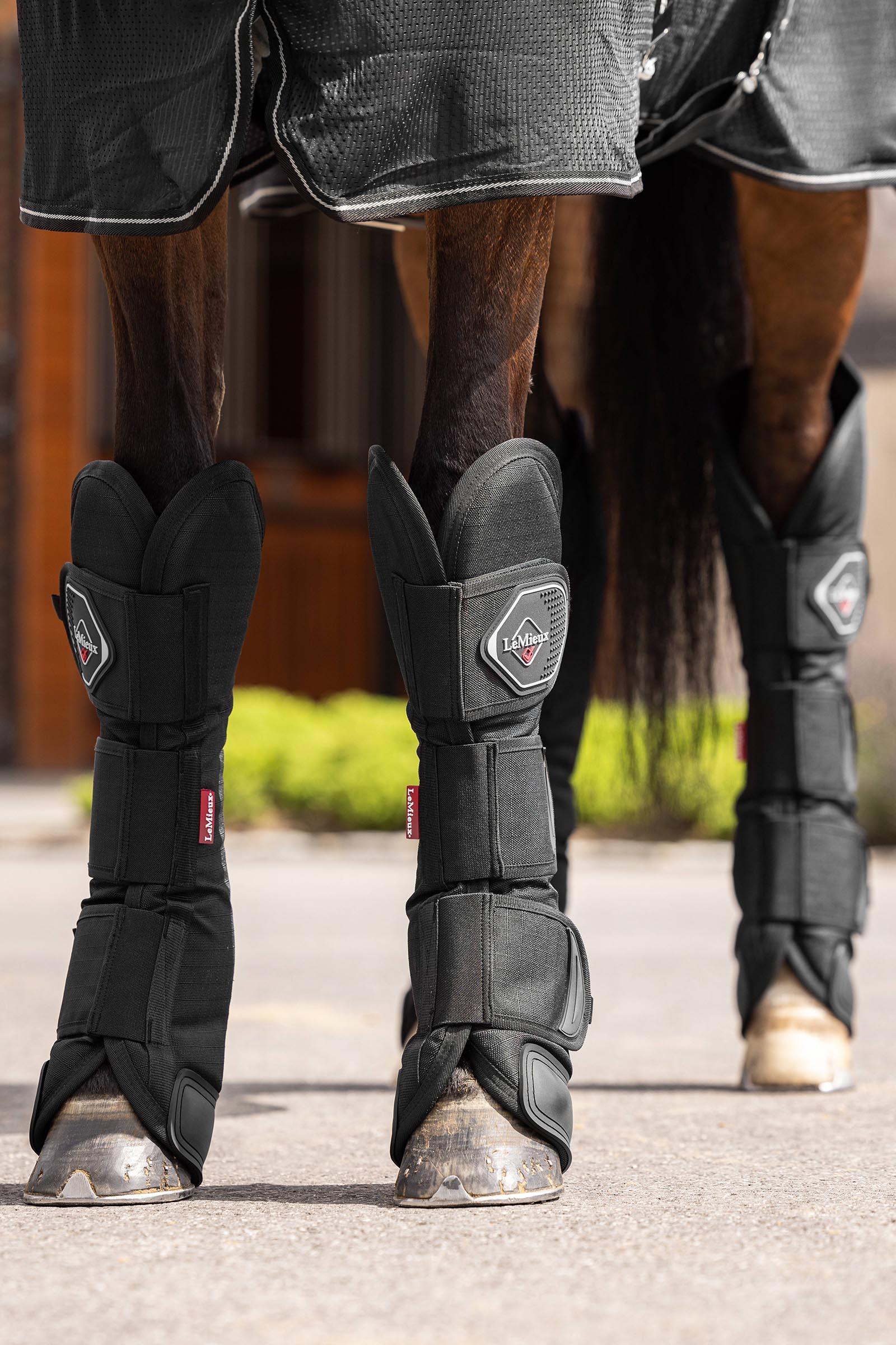LeMieux guêtres de transport