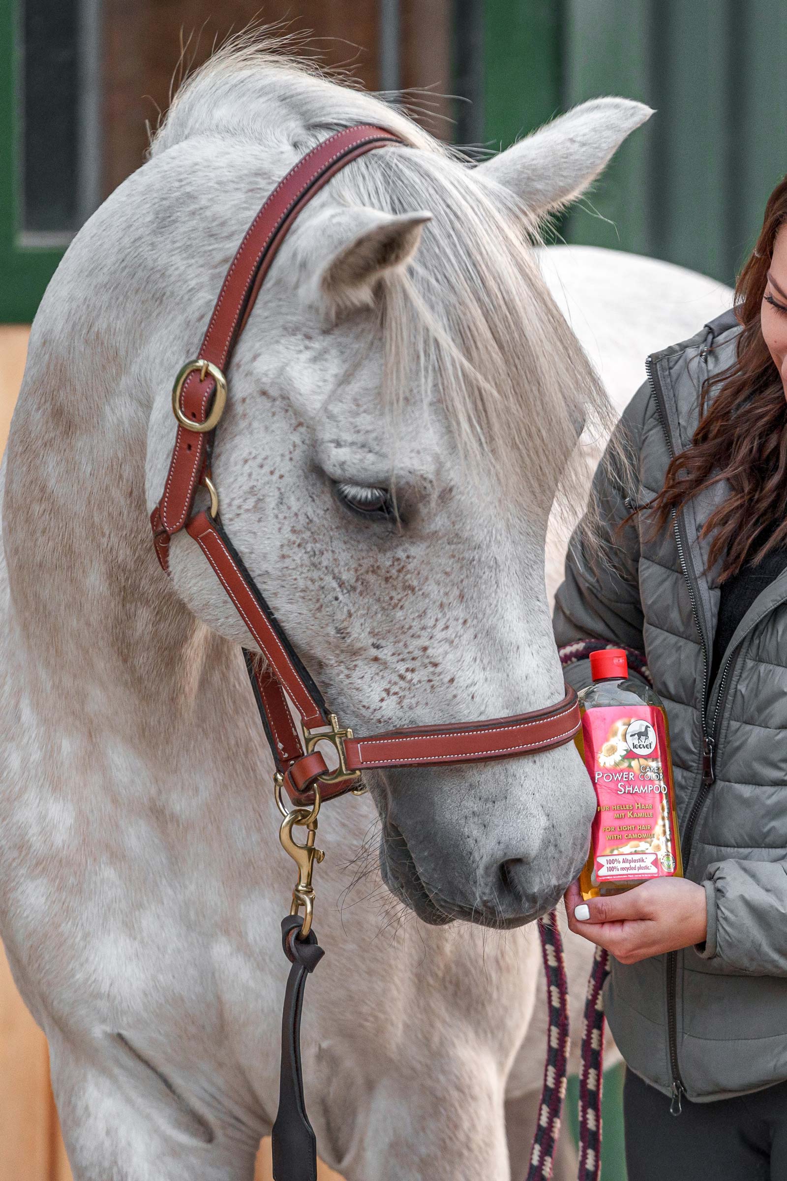 Leovet Power Shampoo Camomille pour cheveux clairs
