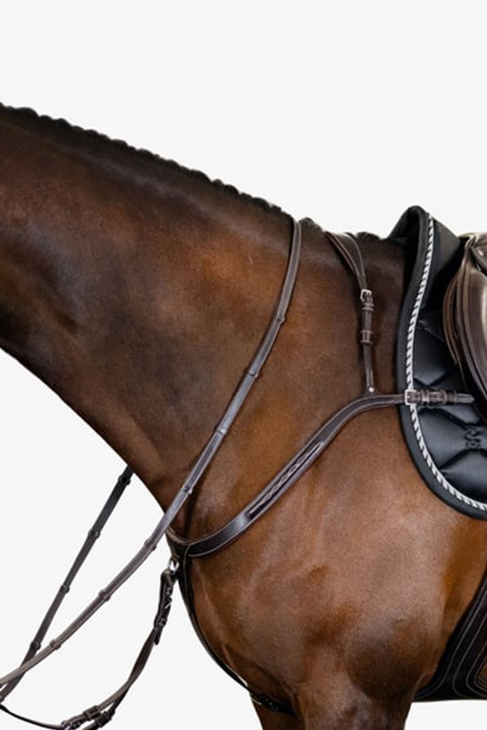 PS of Sweden poitrail Tokyo