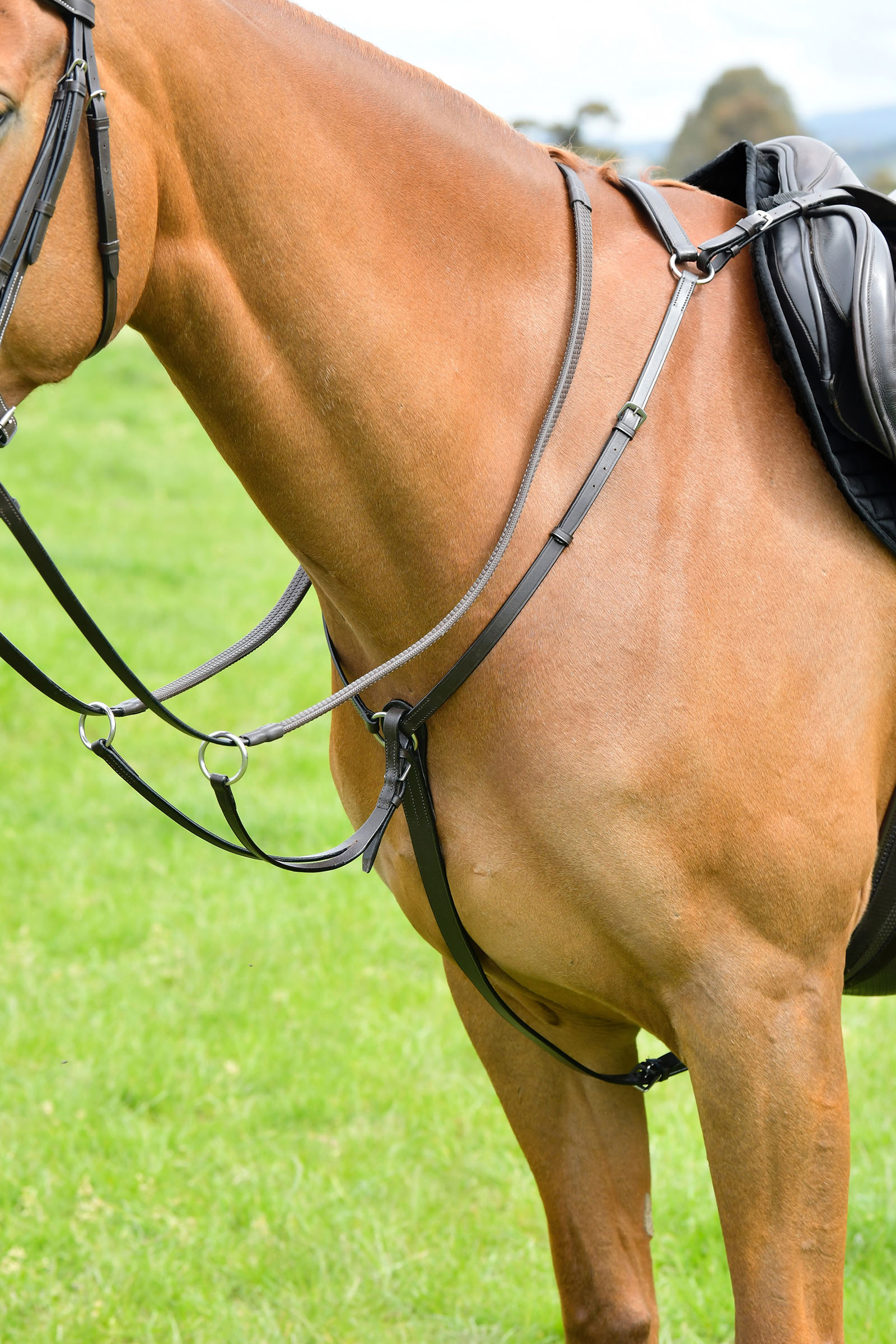 Brown Kincade Classic collier de chasse 3 points avec martingale &agrave; anneaux coulissants