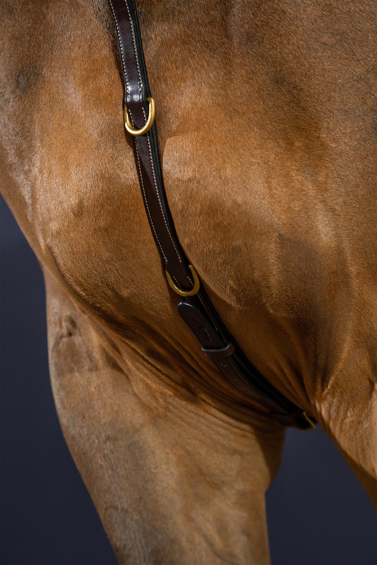 Dy'on D Collection collier de chasse &agrave; pont