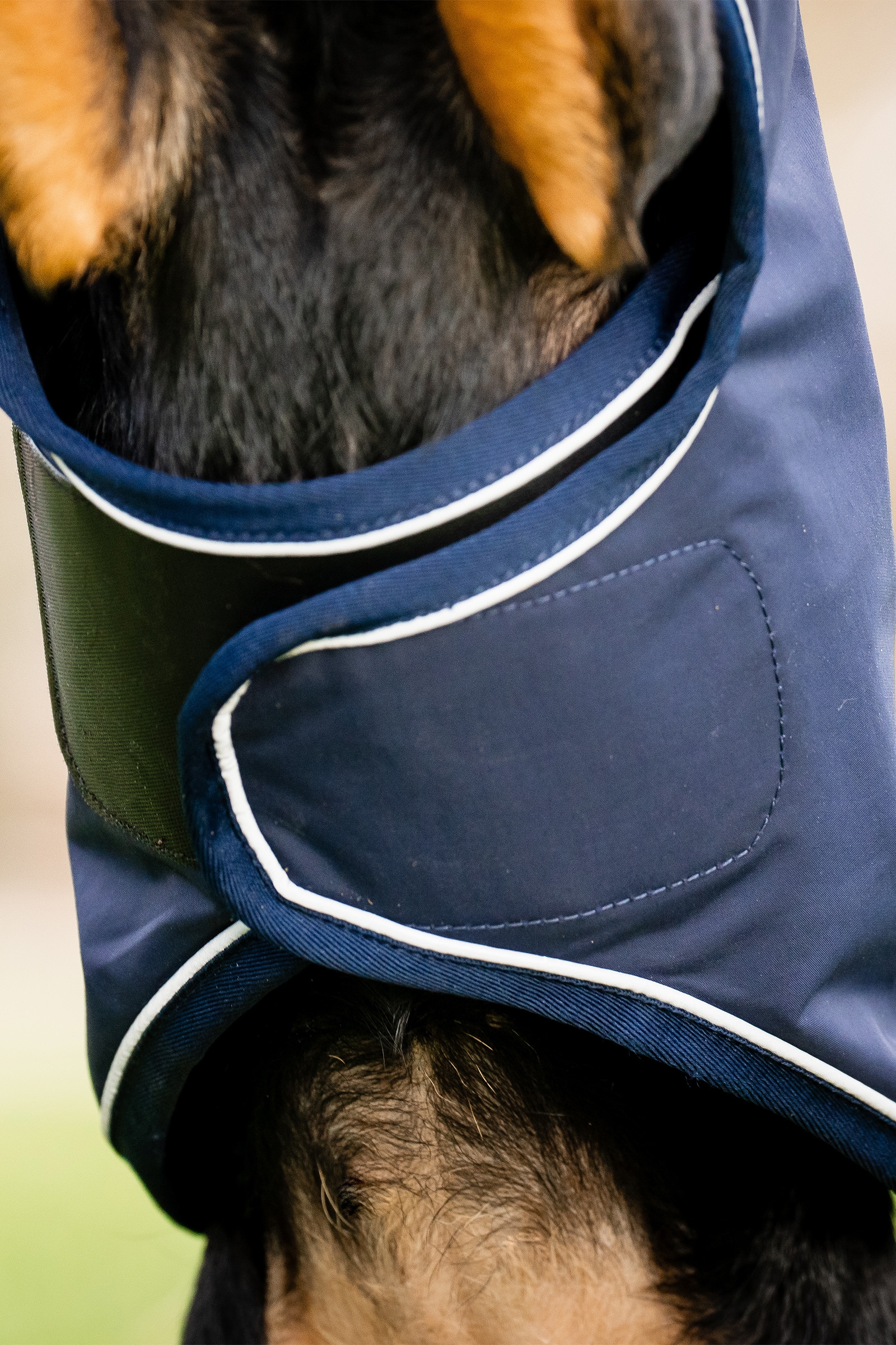 Manteau de pluie pour chien Horseware Signature