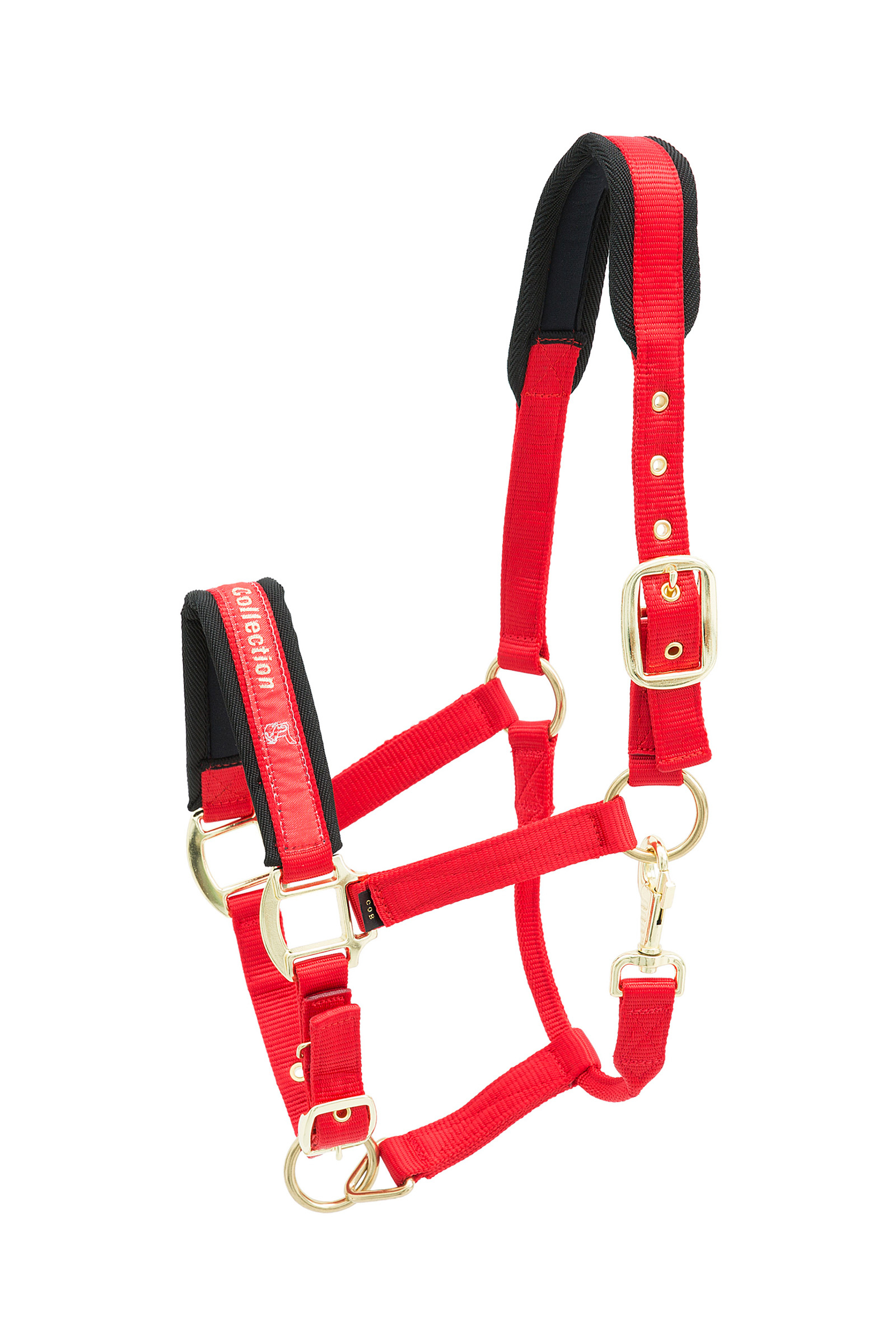 Red Kieffer Collection Nylon Headcollar