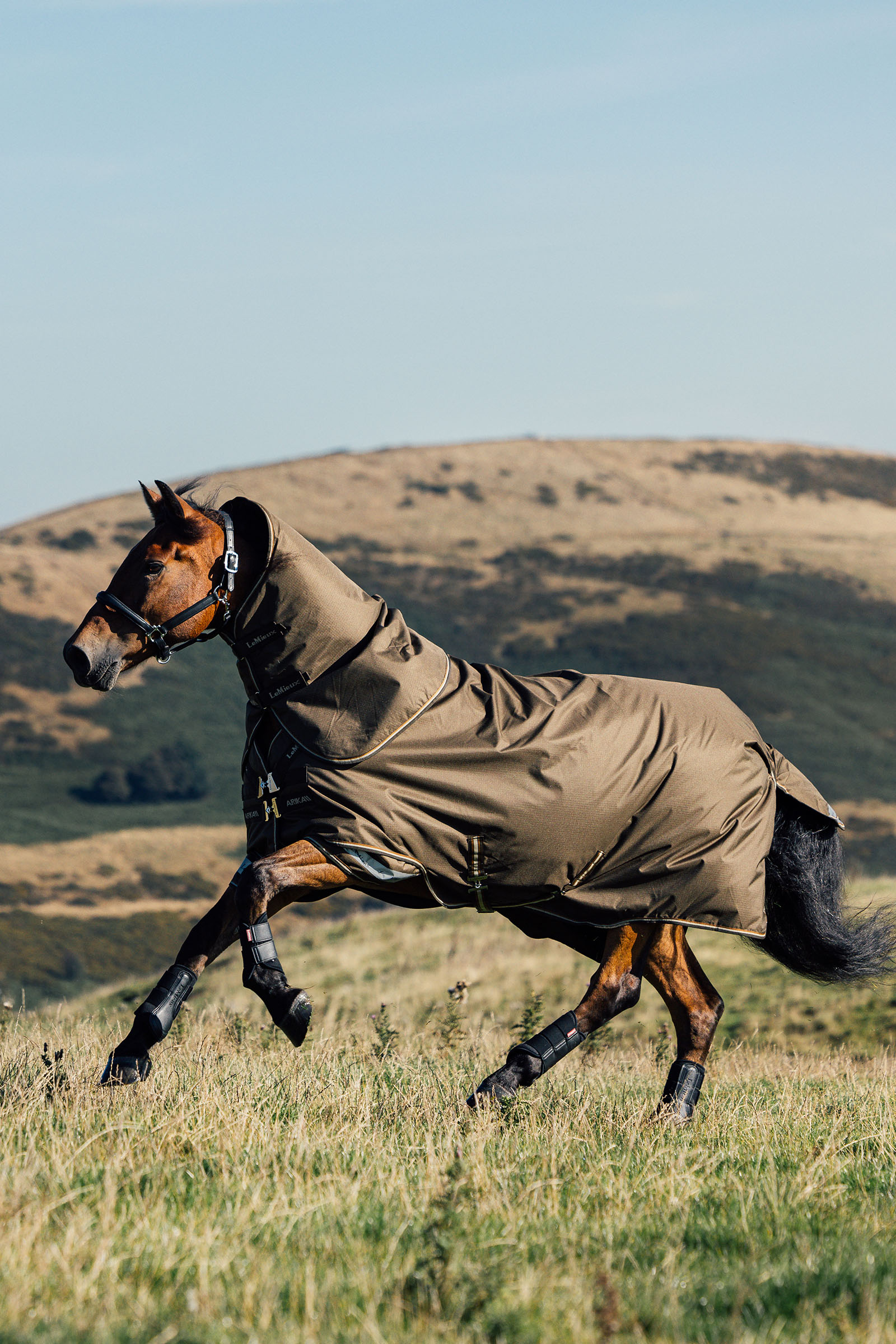 LeMieux Arika couverture Ripstop 50g