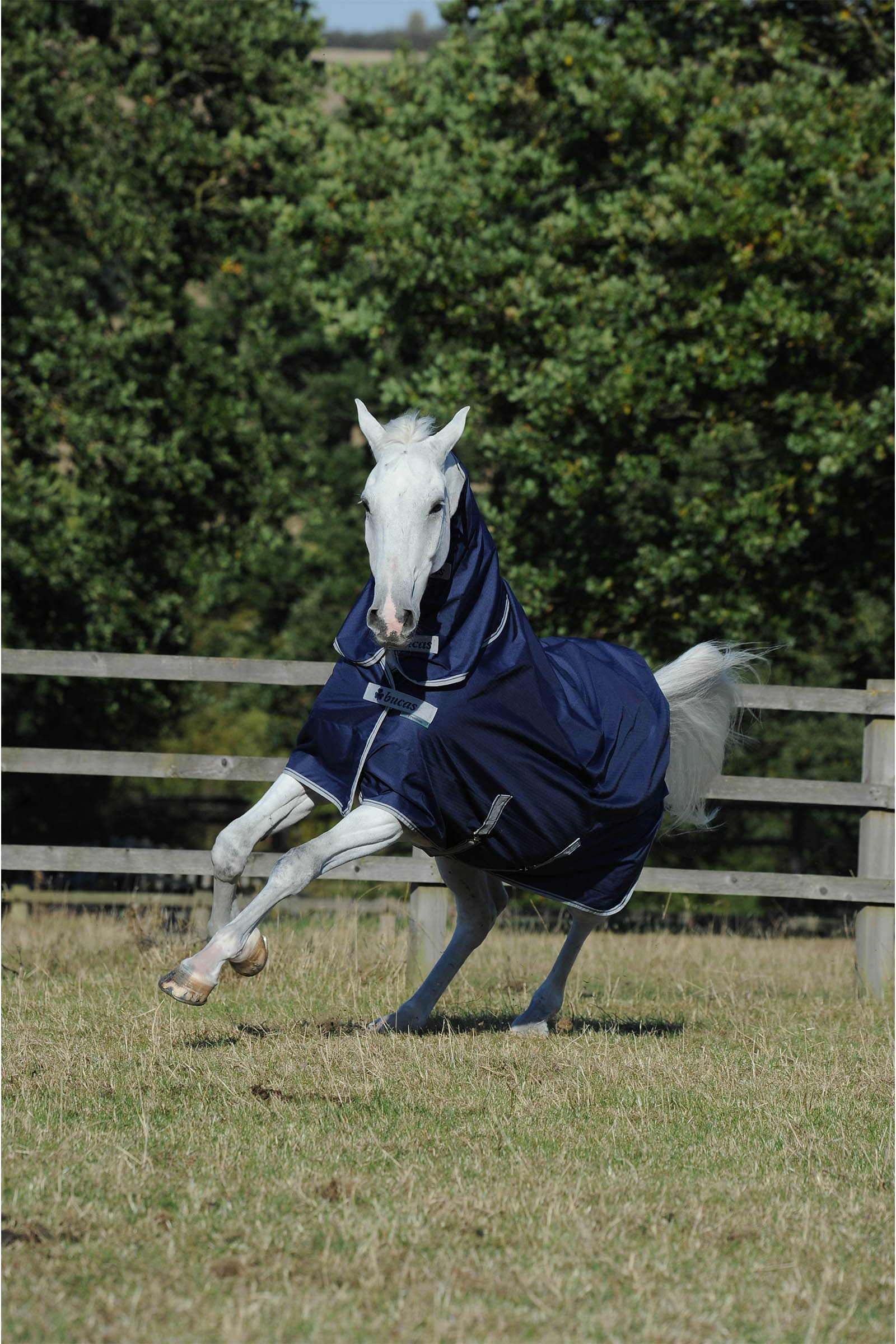 Bucas Freedom + Neck 100 g Rug Set