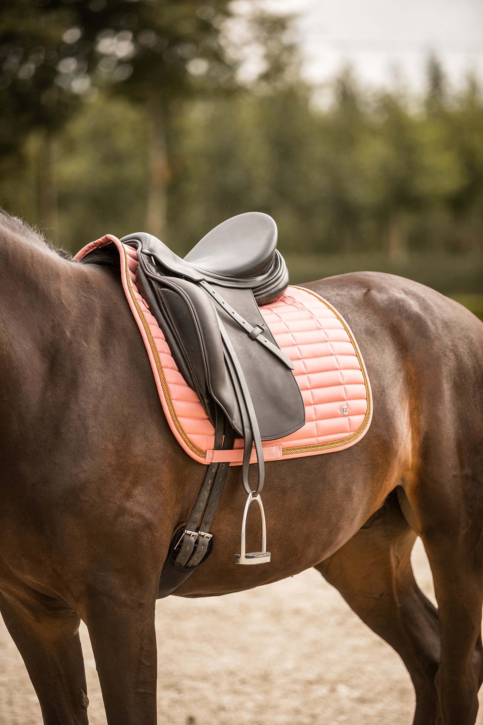 Tapis de selle de dressage B Vertigo Quinn