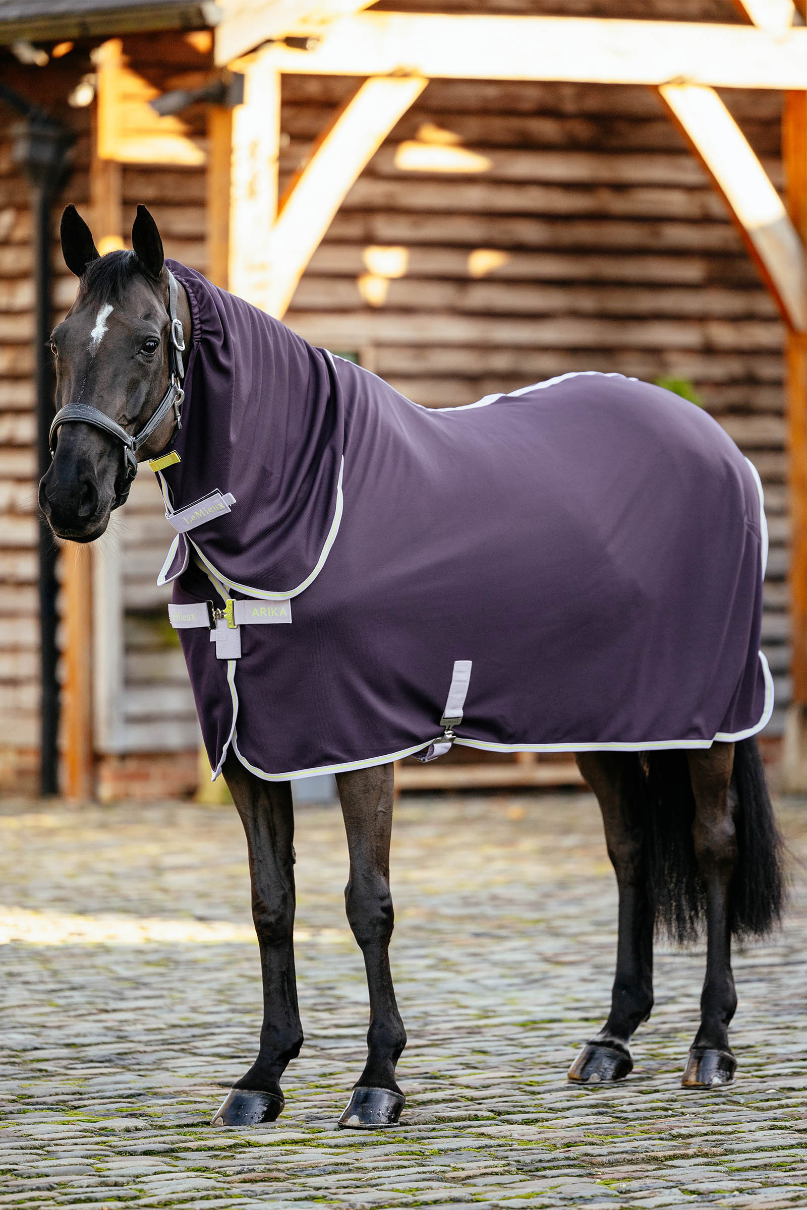 Juniper LeMieux Arika DryEase Chemise