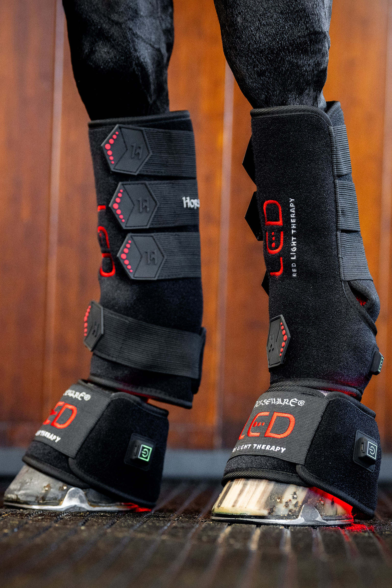 Horseware guêtre thérapeutique LED à lumière rouge (1 pce)