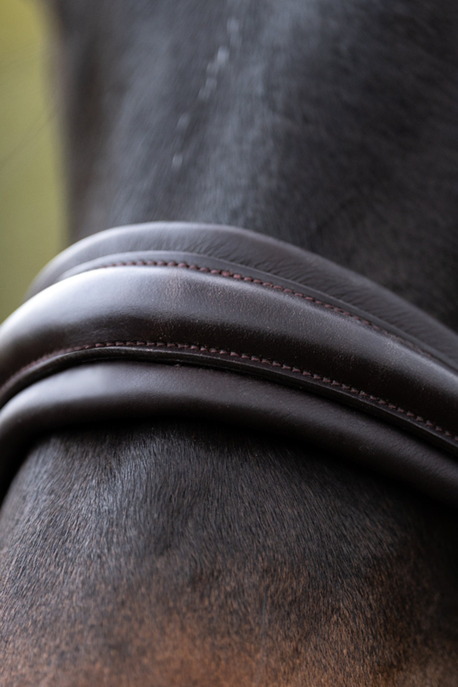 Kavalkade Zora Muserolle Crank