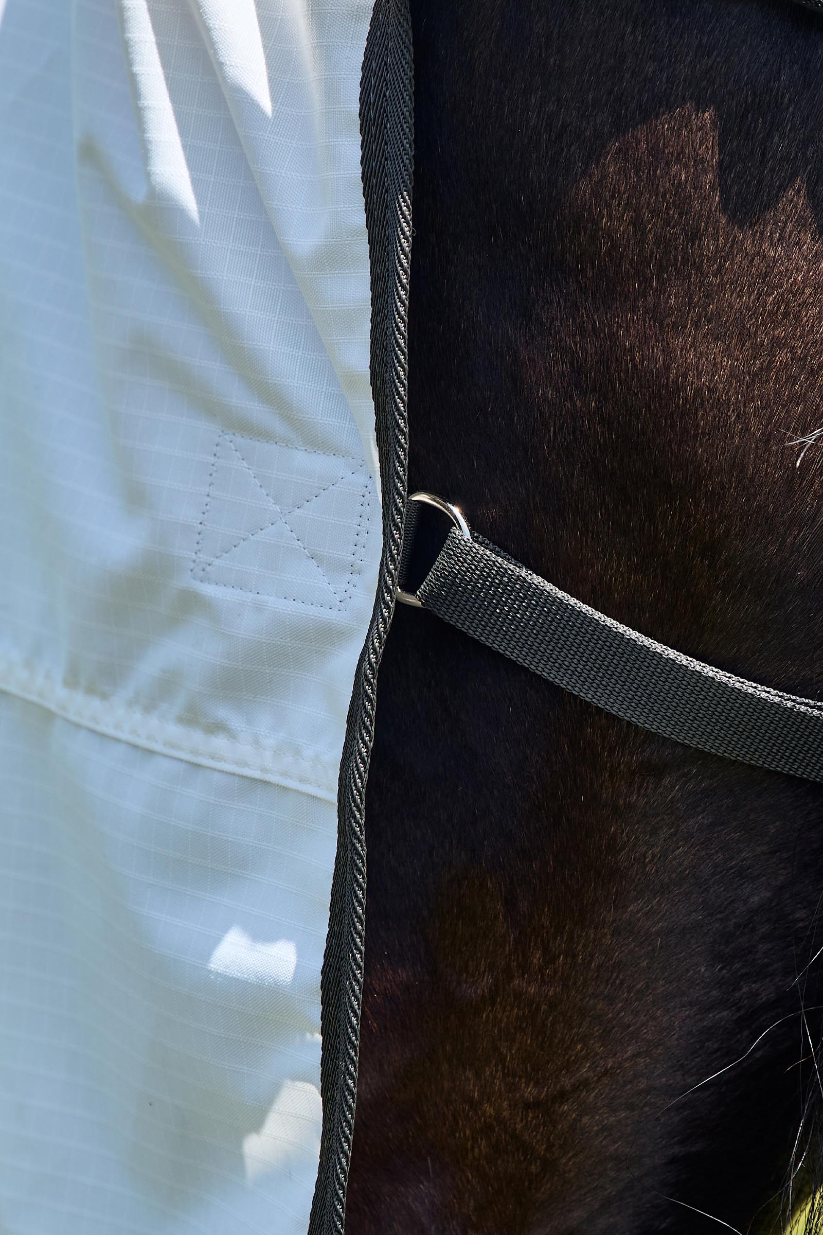 Weatherbeeta ComFiTec Sweet Itch Shield Couverture anti-mouches combo avec encolure fixe, 0 g  