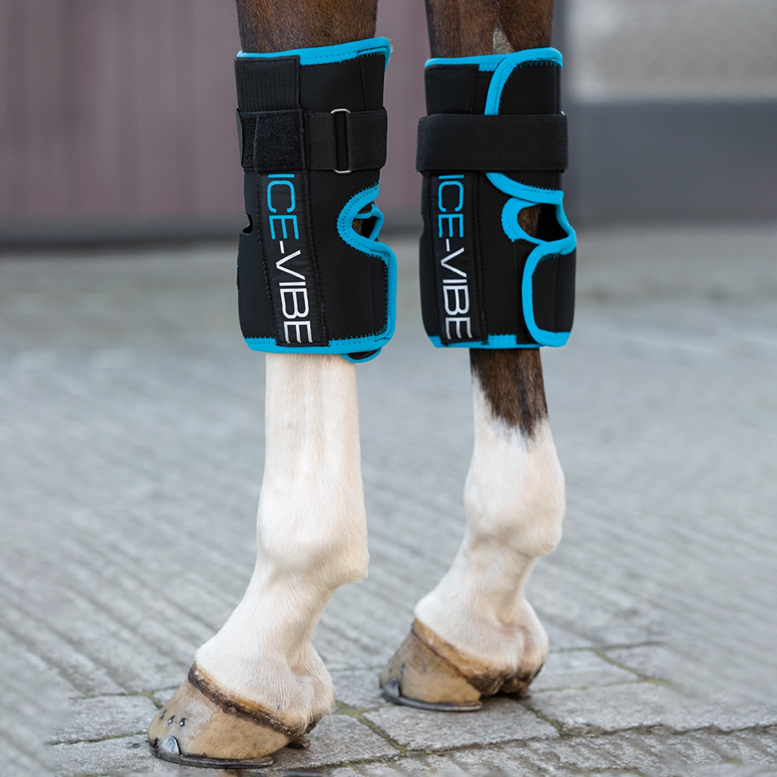 Genouill&egrave;re vibrante et glace Horseware Ice-Vibe