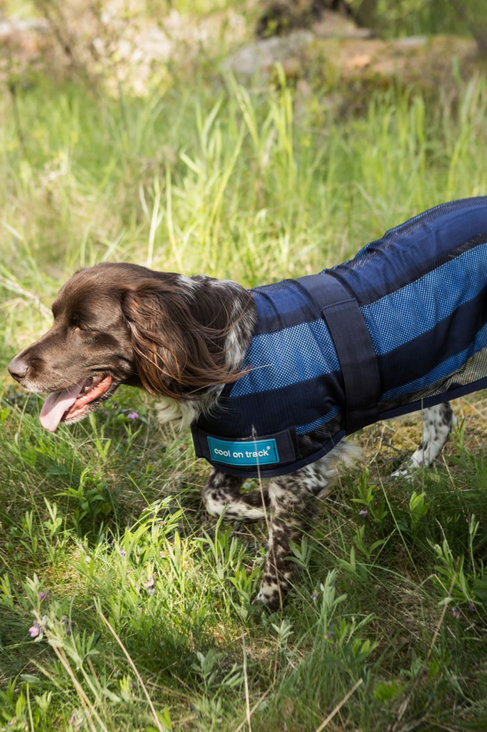 Back on Track Cool On Track manteau pour chien 2.0