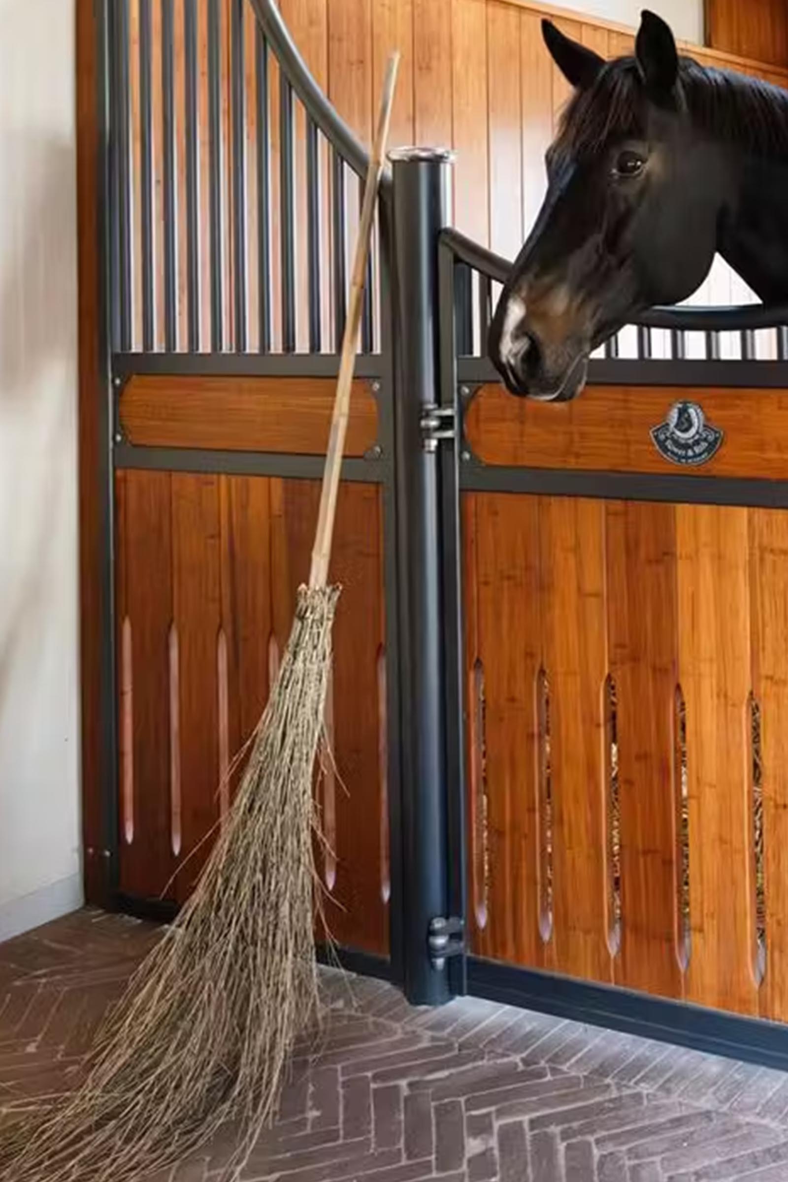 Grooming Deluxe balai en bambou  