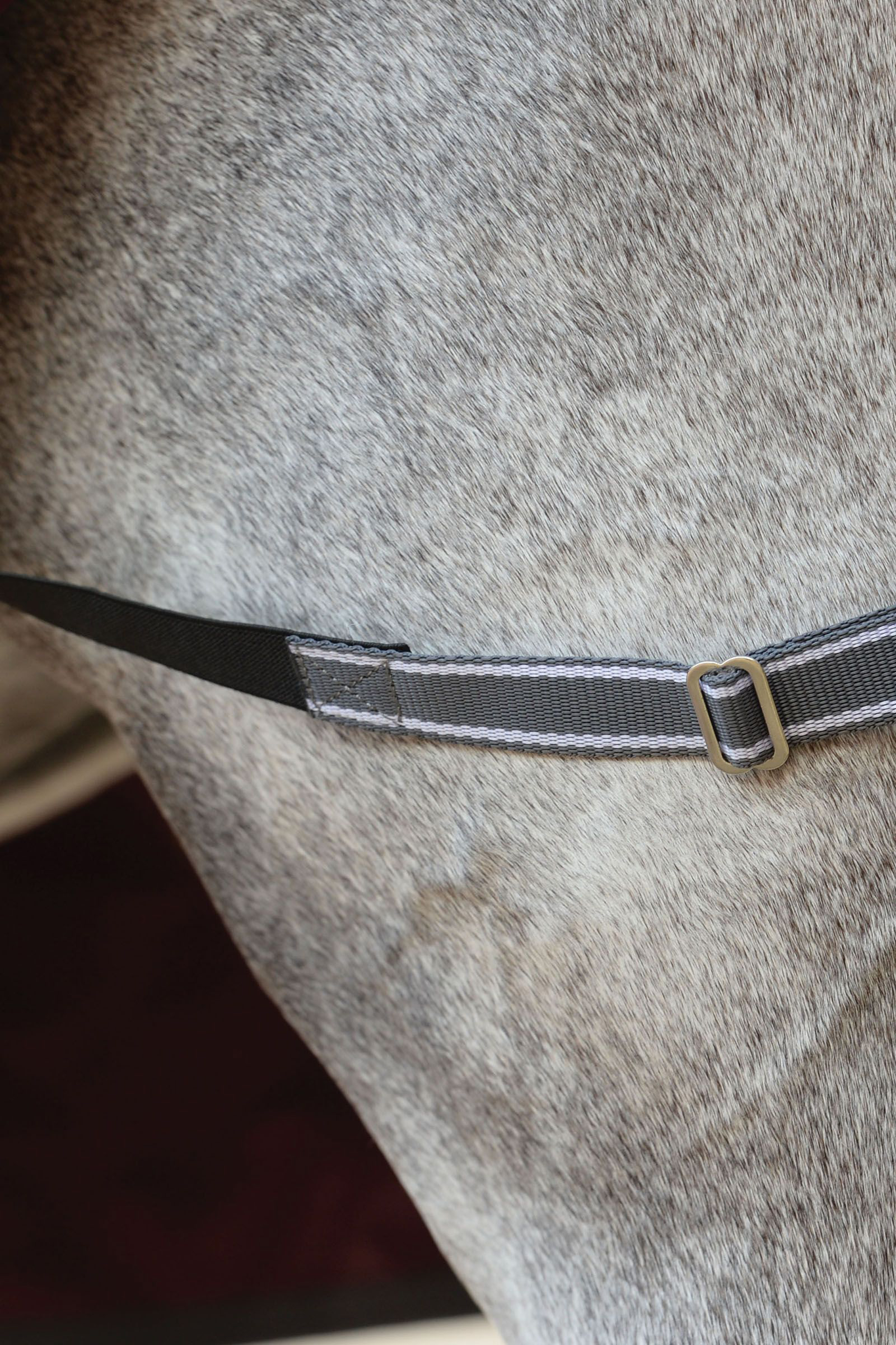 Couverture d'extérieur Weatherbeeta Comfitec Plus Dynamic II Combo Couvre-encolure, 220g