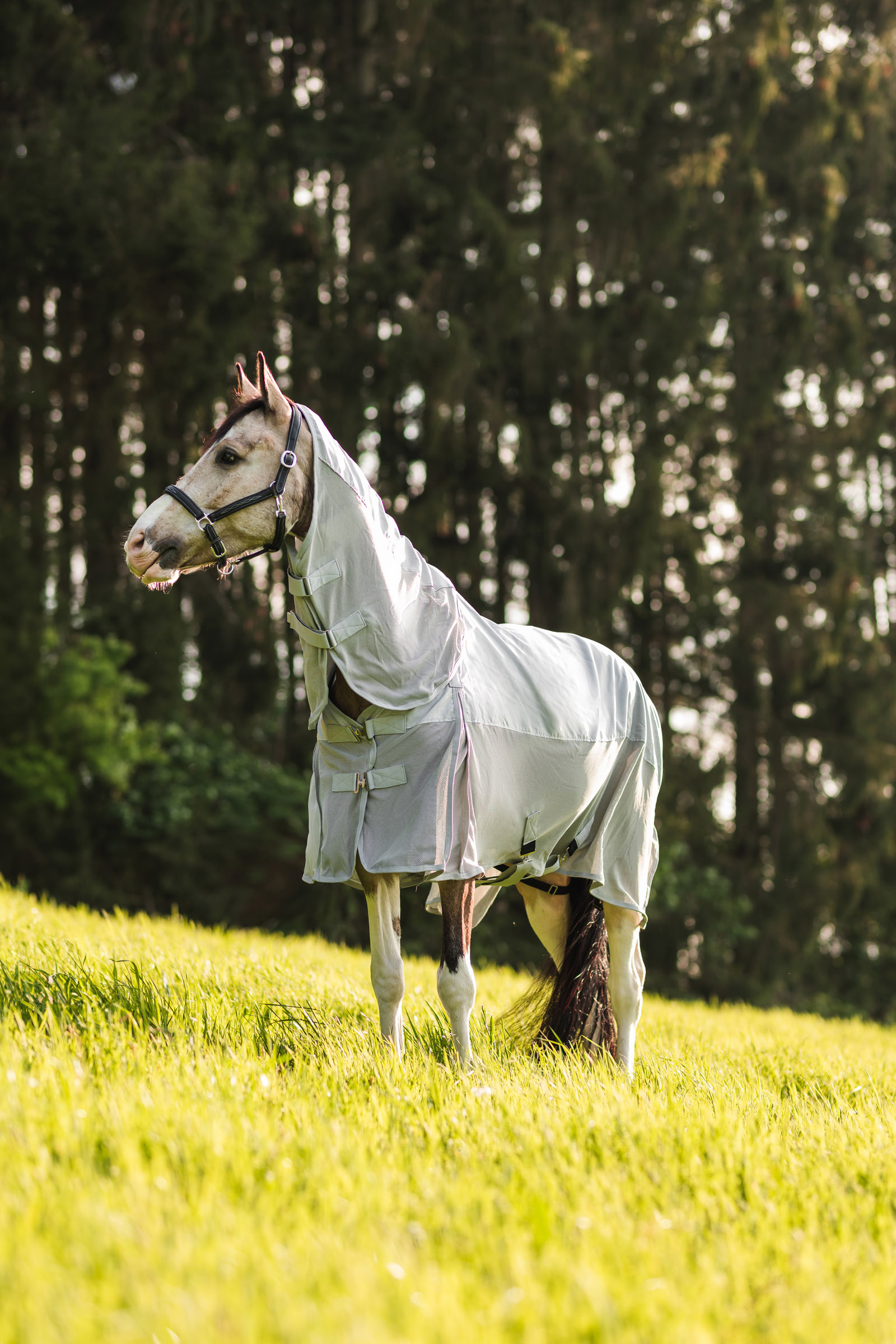 Horze Nevada Couverture Combinée Pluie/insectes 