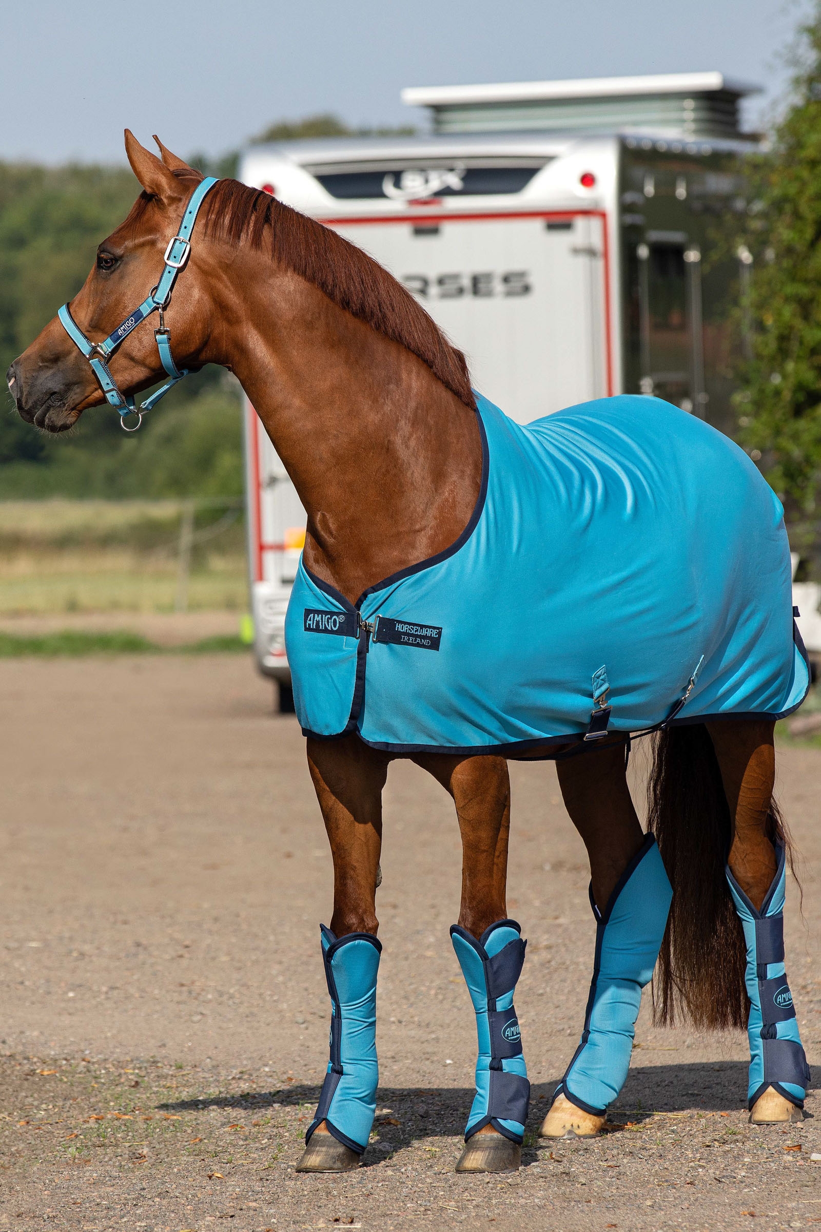 Delphinium Blue / Navy Horseware Amigo chemise s&eacute;chante jersey
