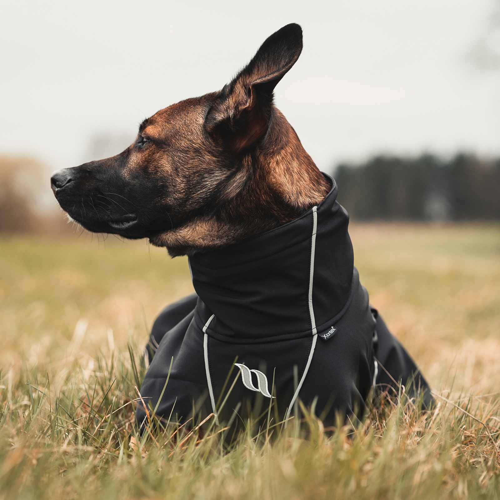 Manteau pour chien Back on Track Nella All-Round, 55-65 cm