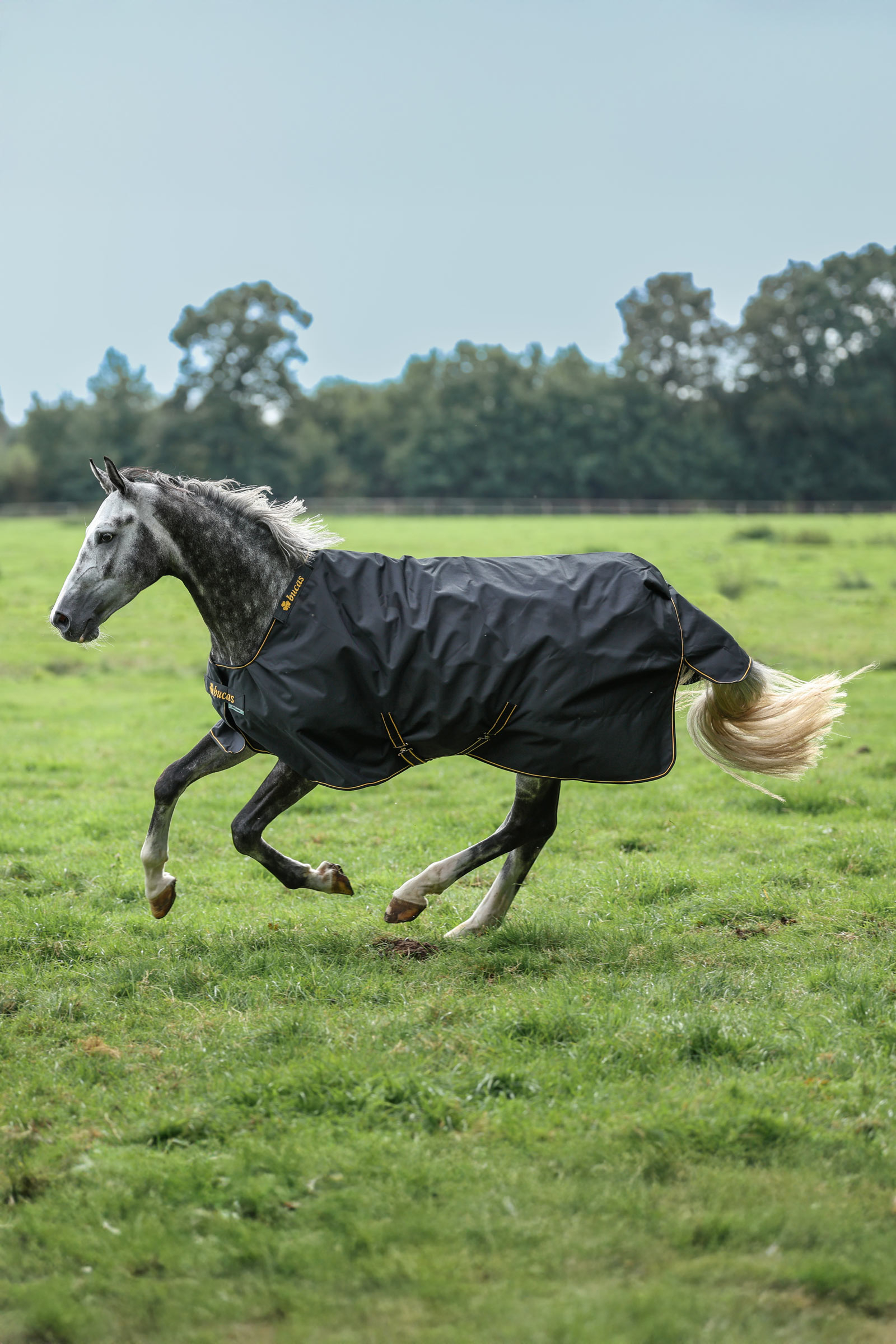 Bucas Irish couverture d’extérieur, 100 g