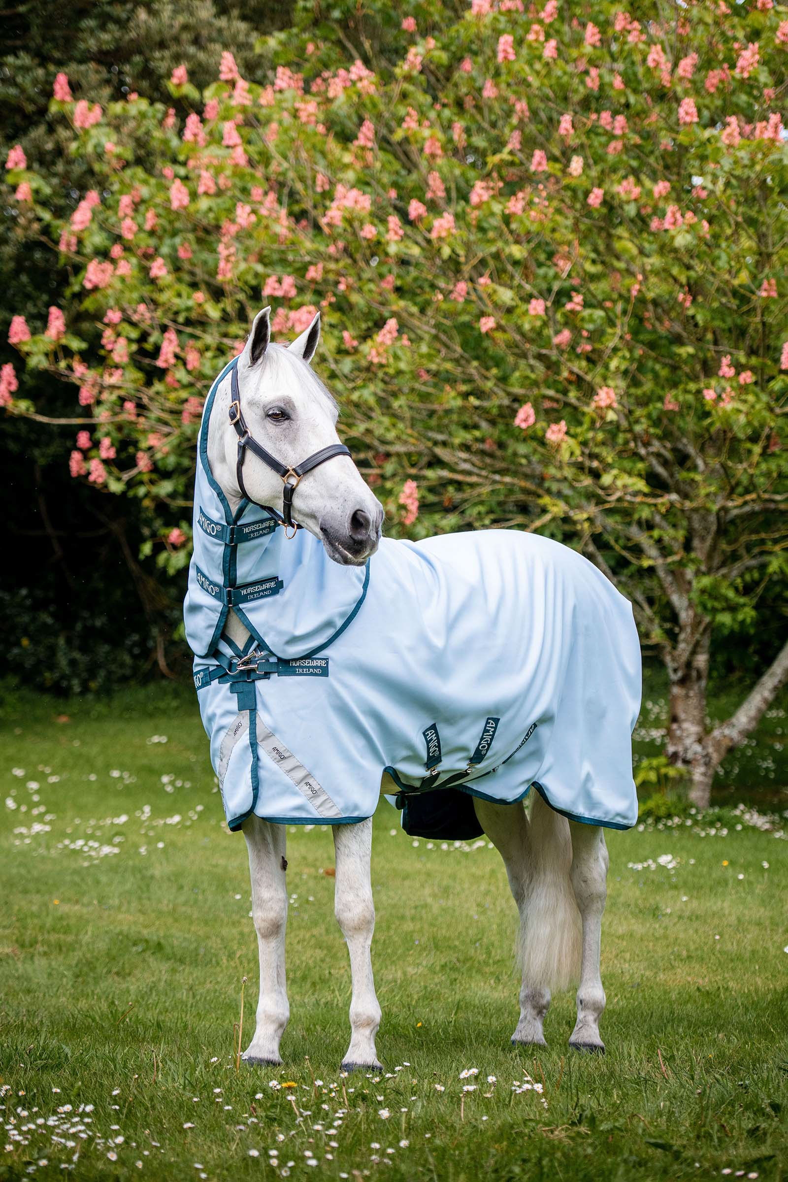 Tapis d'ext&eacute;rieur Horseware Amigo Teinture plantes, 50 g