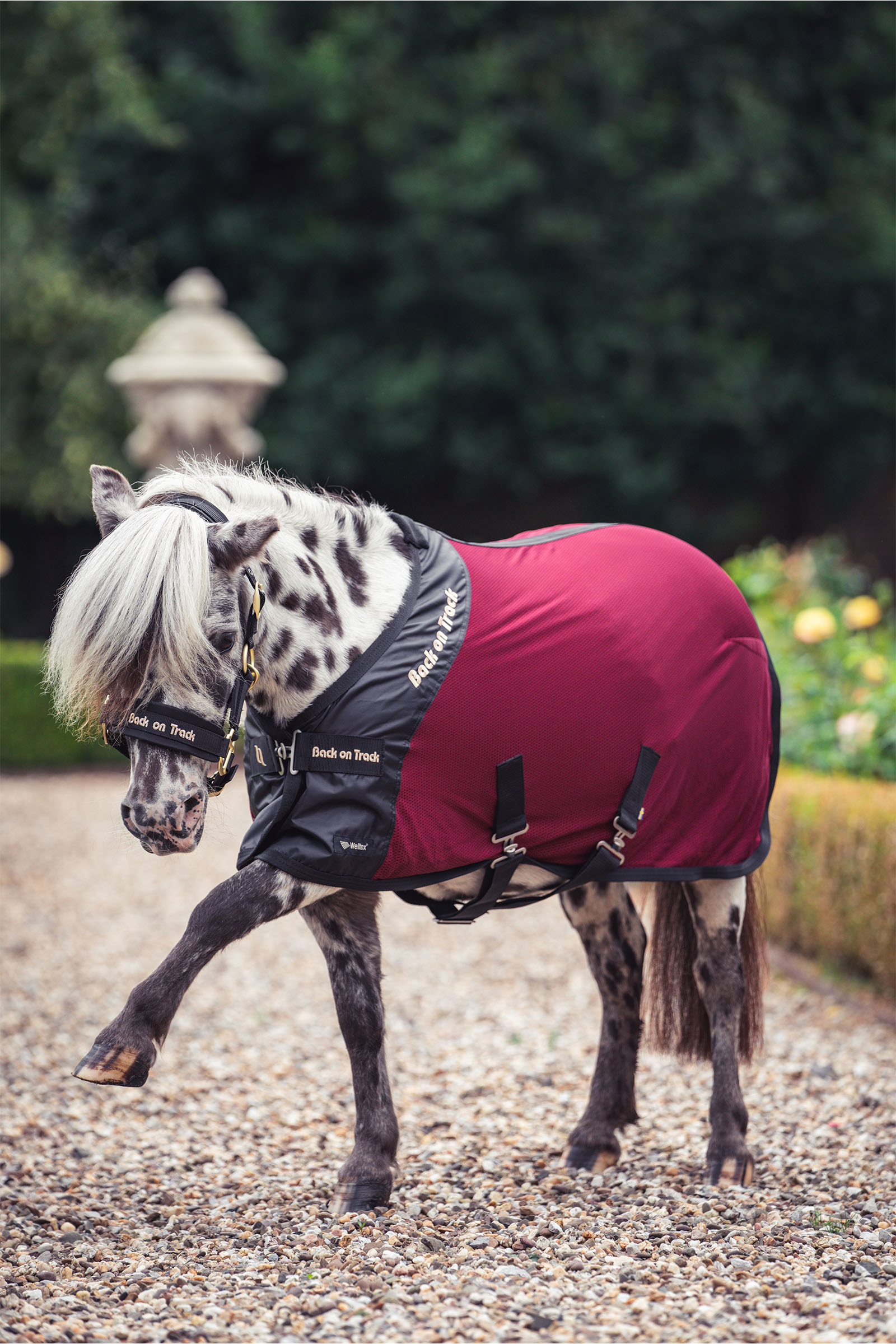 Back on Track Royal Tapis en Maille pour Poney Deluxe