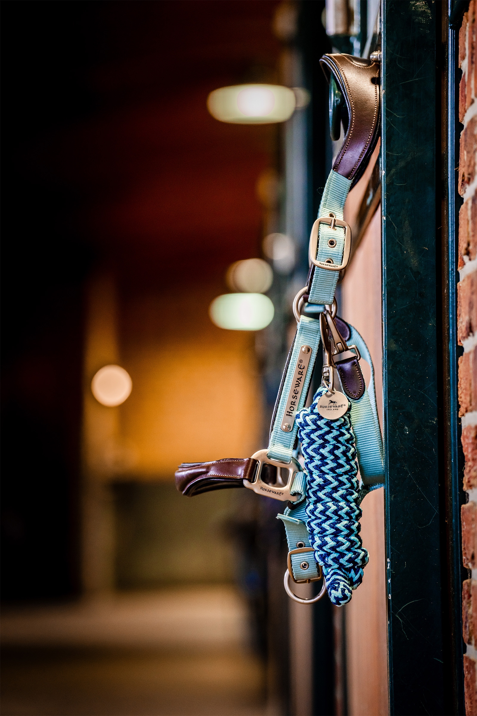 Licol de spectacle Horseware Signature