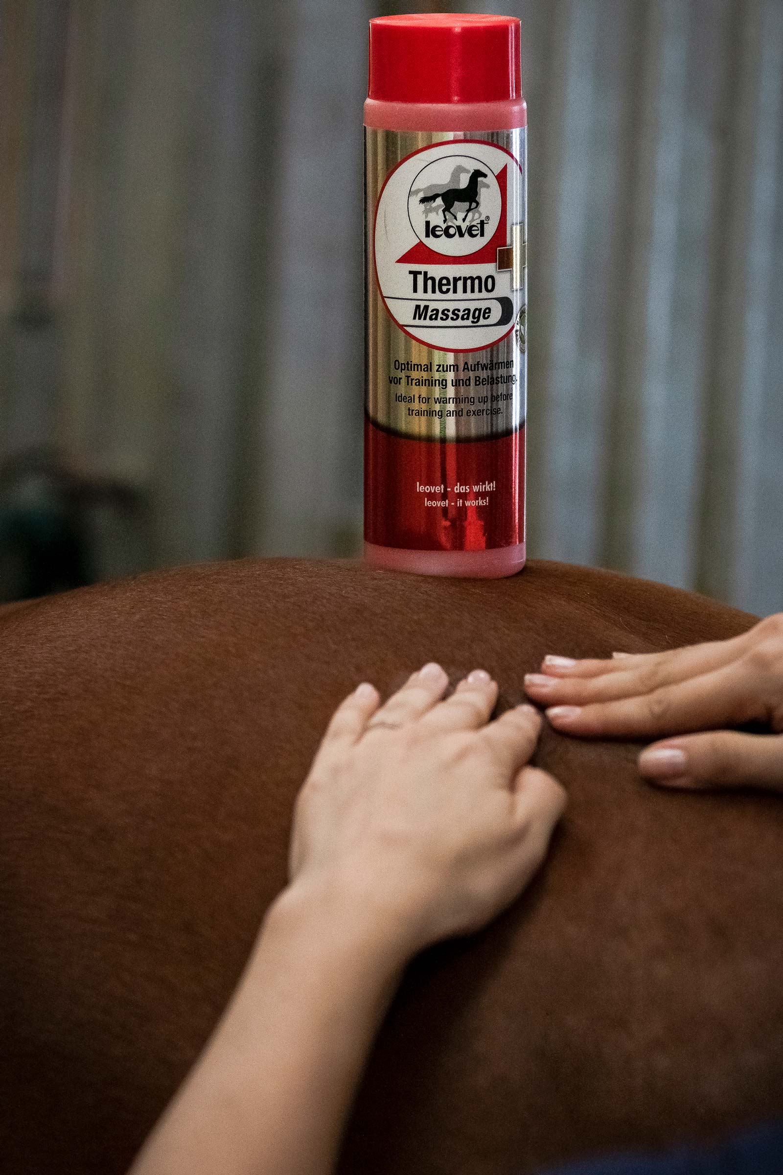 Thermo-massage Leovet
