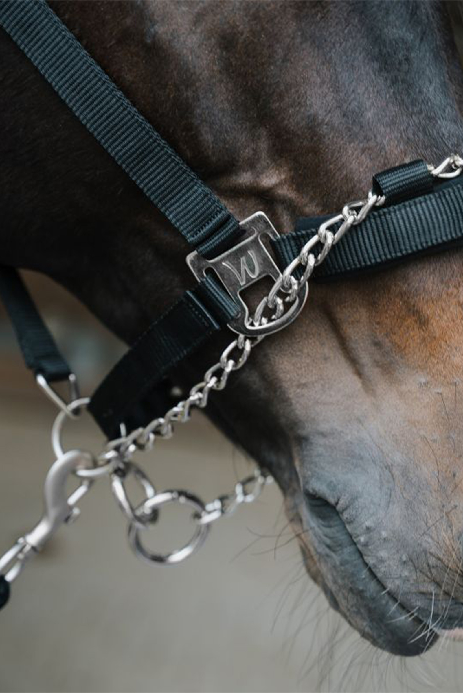 Licou de s&eacute;curit&eacute; Waldhausen Pro Safety