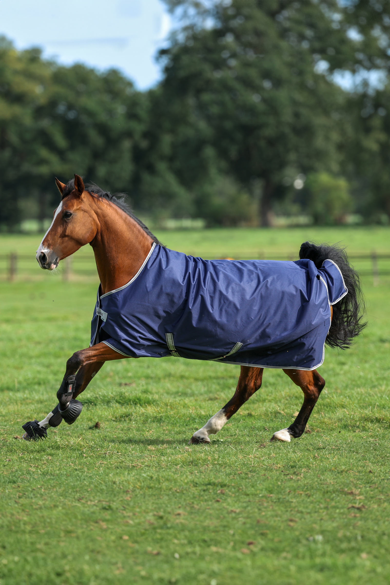 Bucas Freedom couverture d'extérieur légère pour poney, 0g