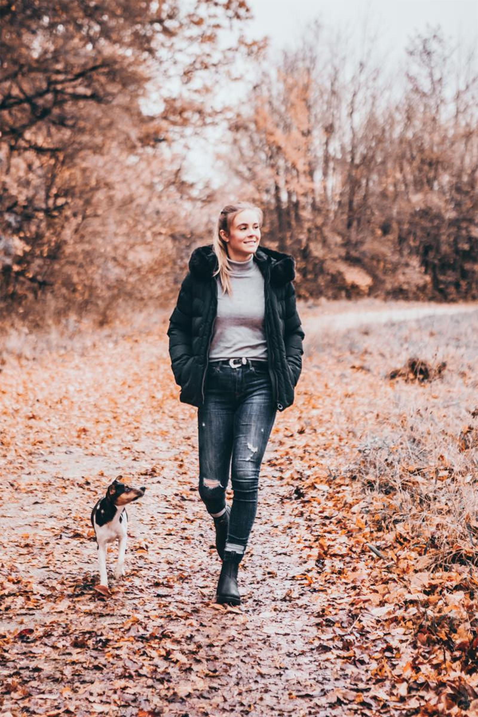 Suedwind Footwear New Work Bottes Jodhpur Chelsea Hiver