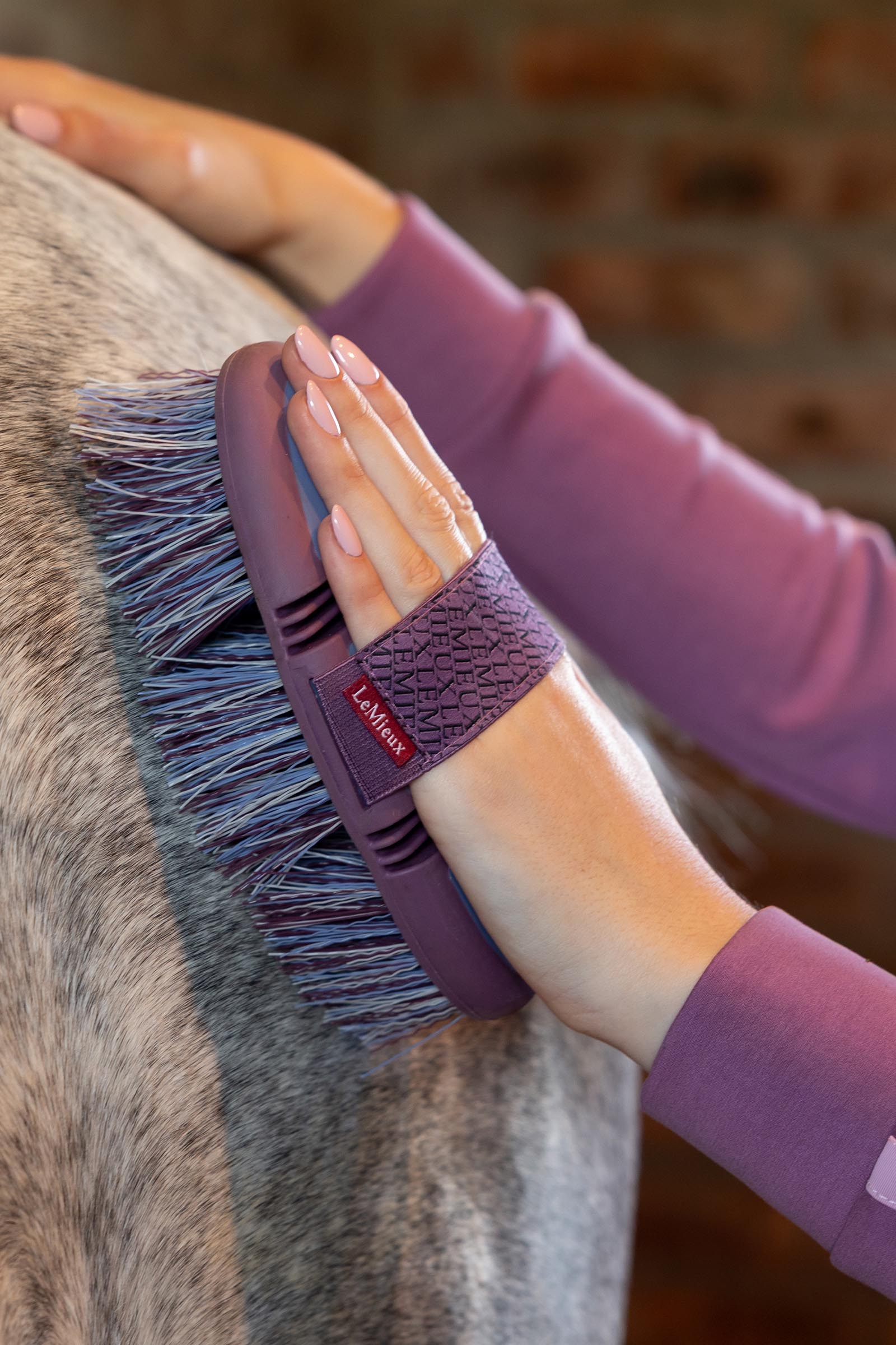 LeMieux Flexi Flicky brosse