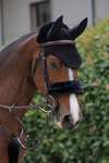 Fourreau de muserolle en mouton Kentucky Horsewear