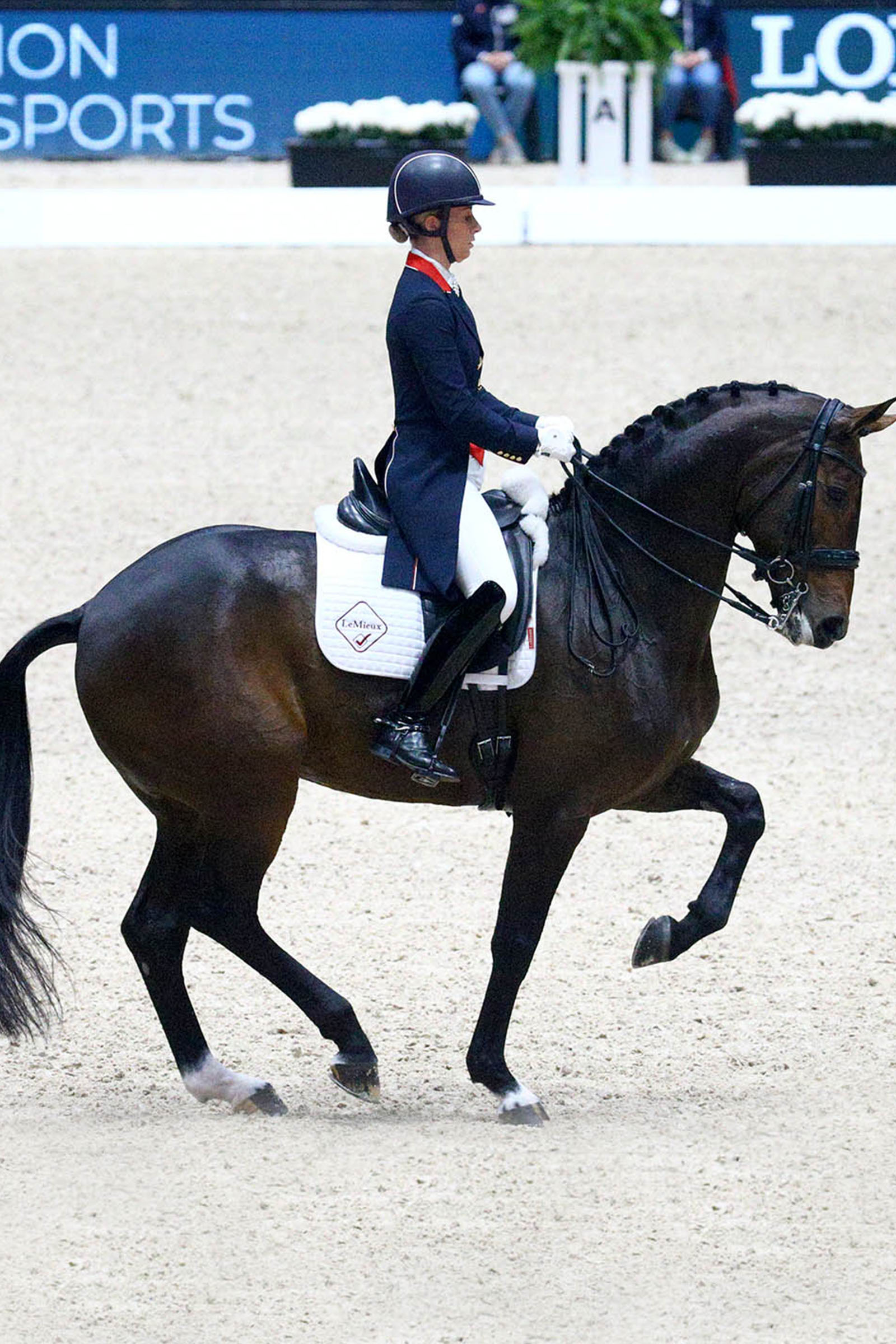LeMieux Dressage Competition Square tapis de selle dressage