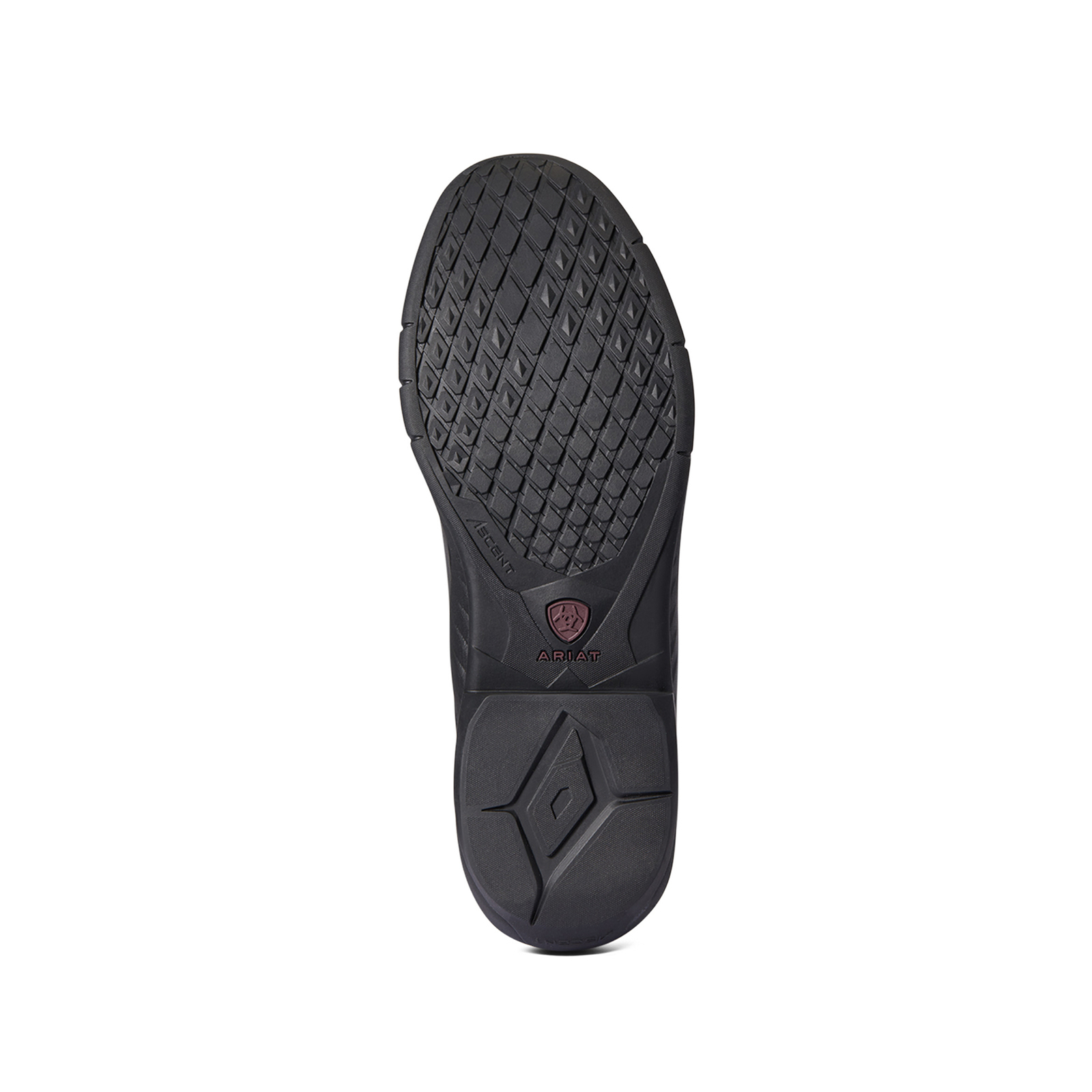 Ariat Ascent H2O Boots d'&eacute;quitation pour hommes