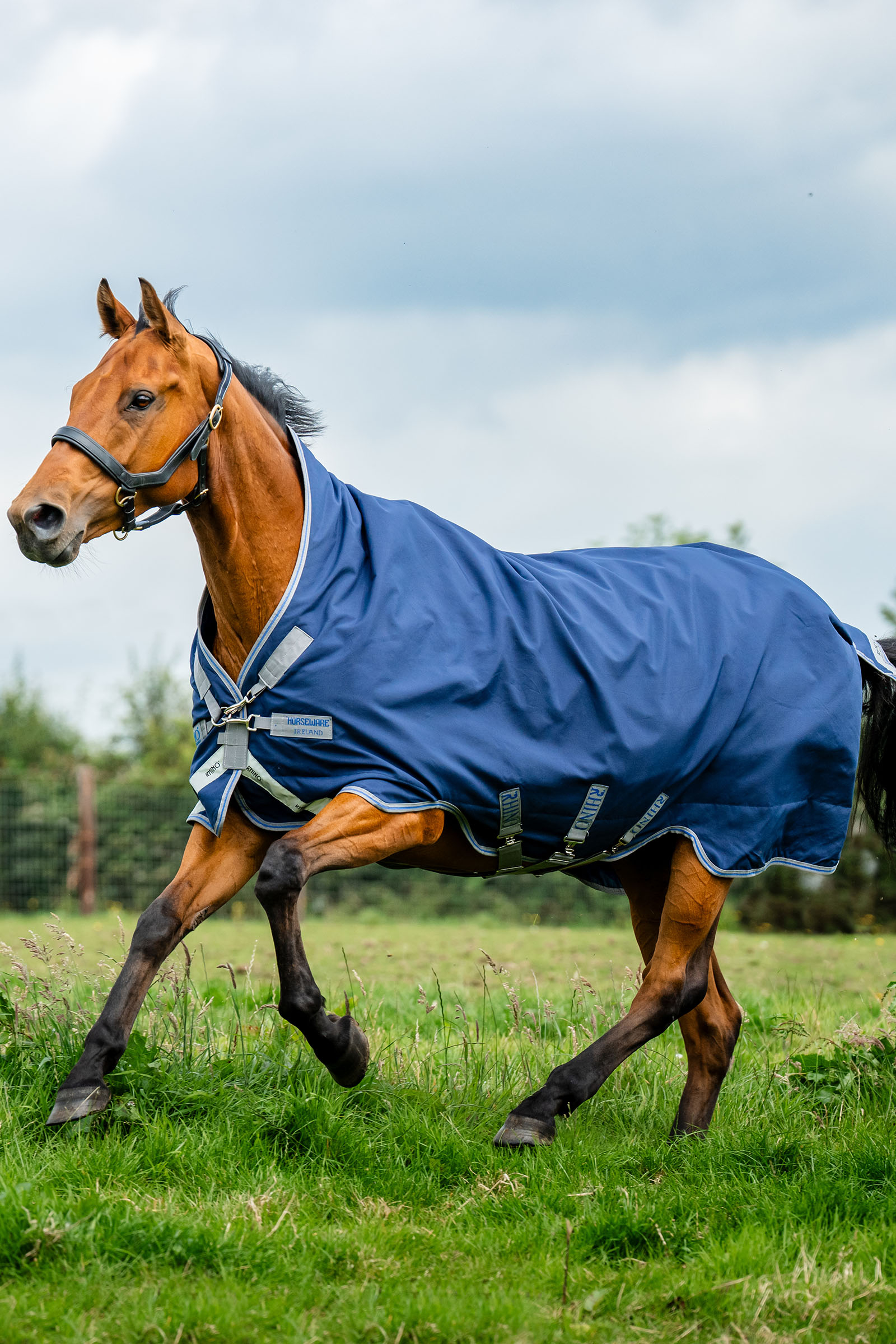 Horseware Rhino Wug couverture de prairie, 100 g