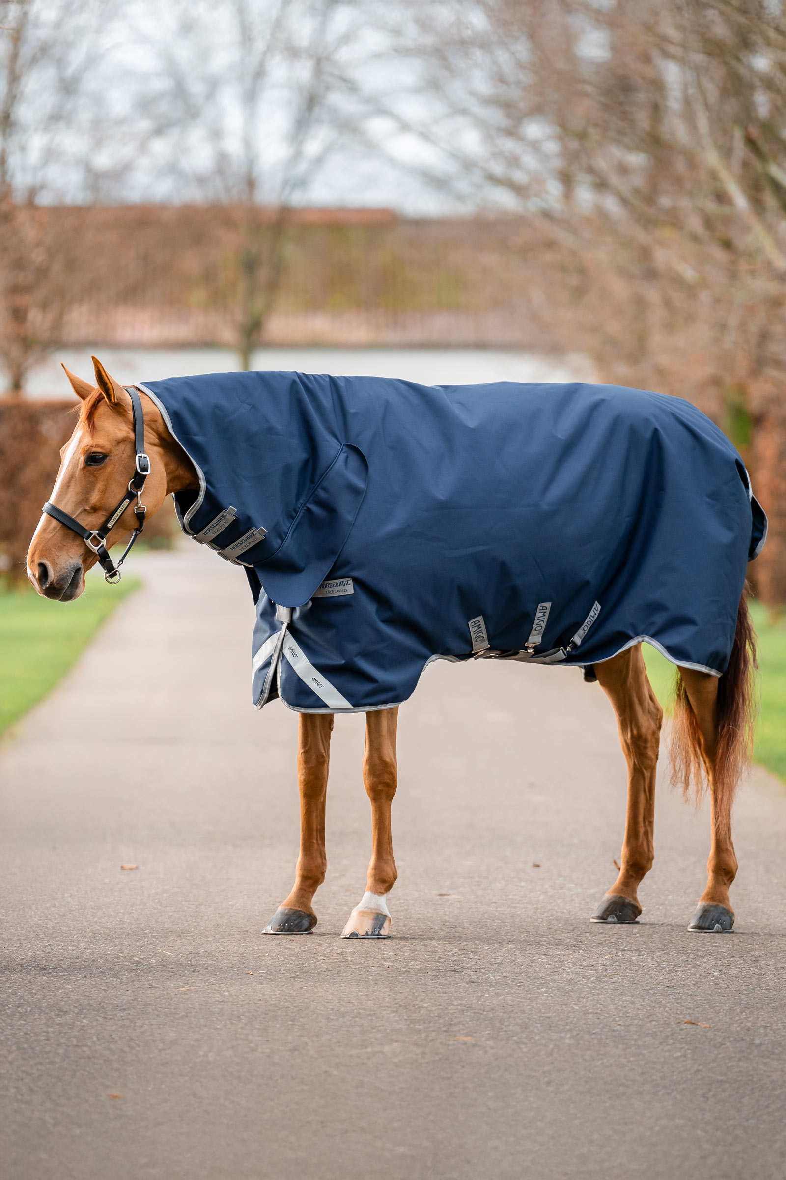 Horseware Amigo 1200D couverture imperméable intégrée 250 g
