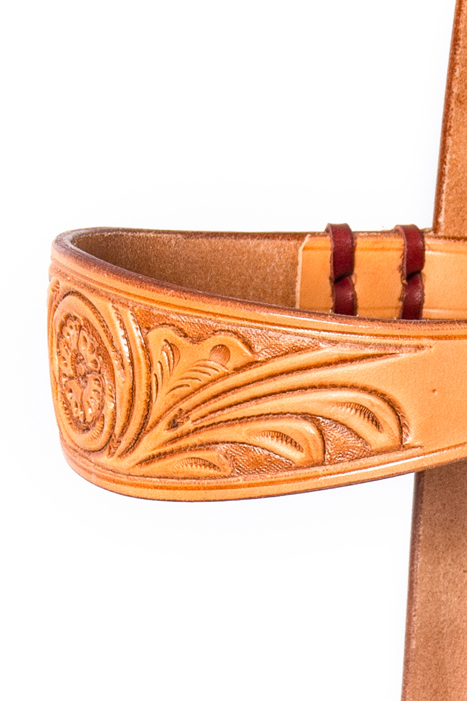 F.R.A. Freedom Riding Articles Diego Bridon sans mors