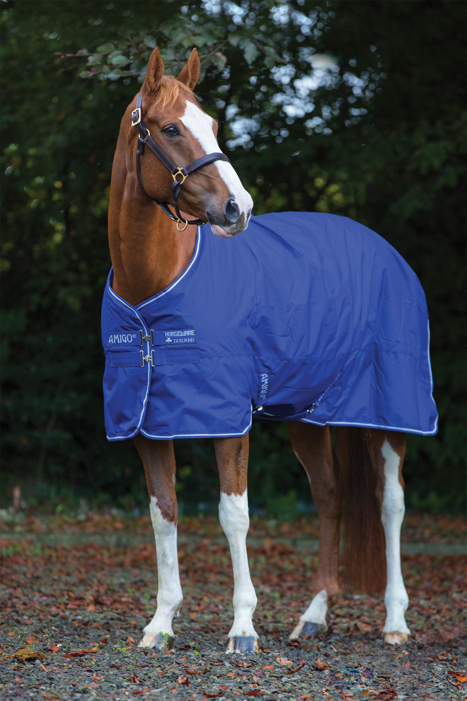 Horseware Amigo Hero 900 Plus Medium couverture imperm&eacute;able, 200g