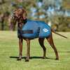 Manteau pour chien Weatherbeeta Comfitec Classic (45-80 cm)