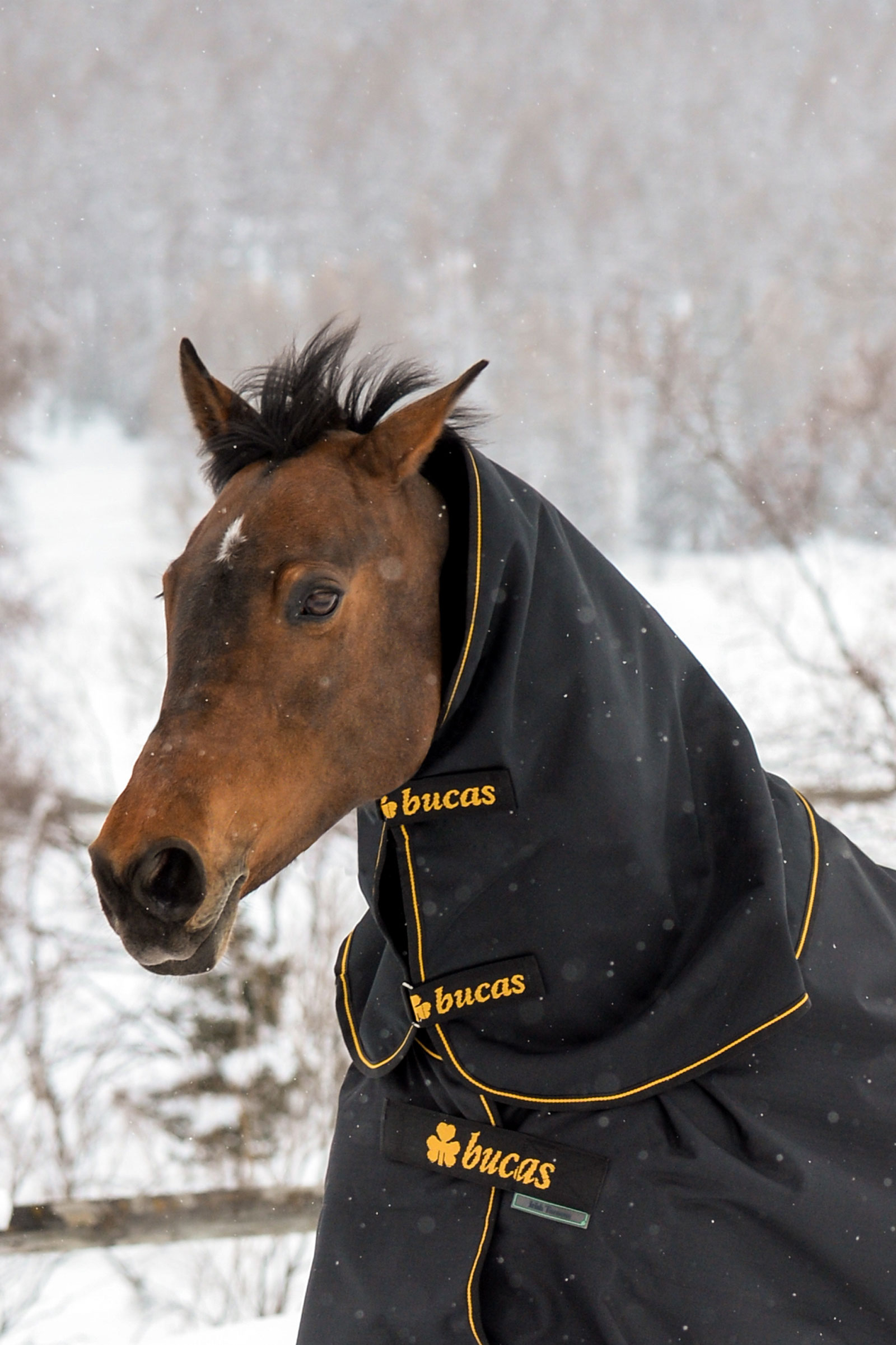 Bucas Irish Turnout couvre-cou, 300g