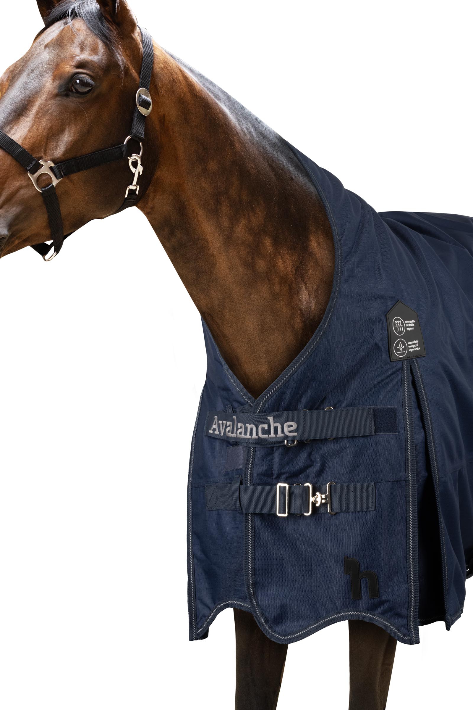 Couverture Avalanche Horze 1200D grammage moyen 150g avec grand couvre-cou