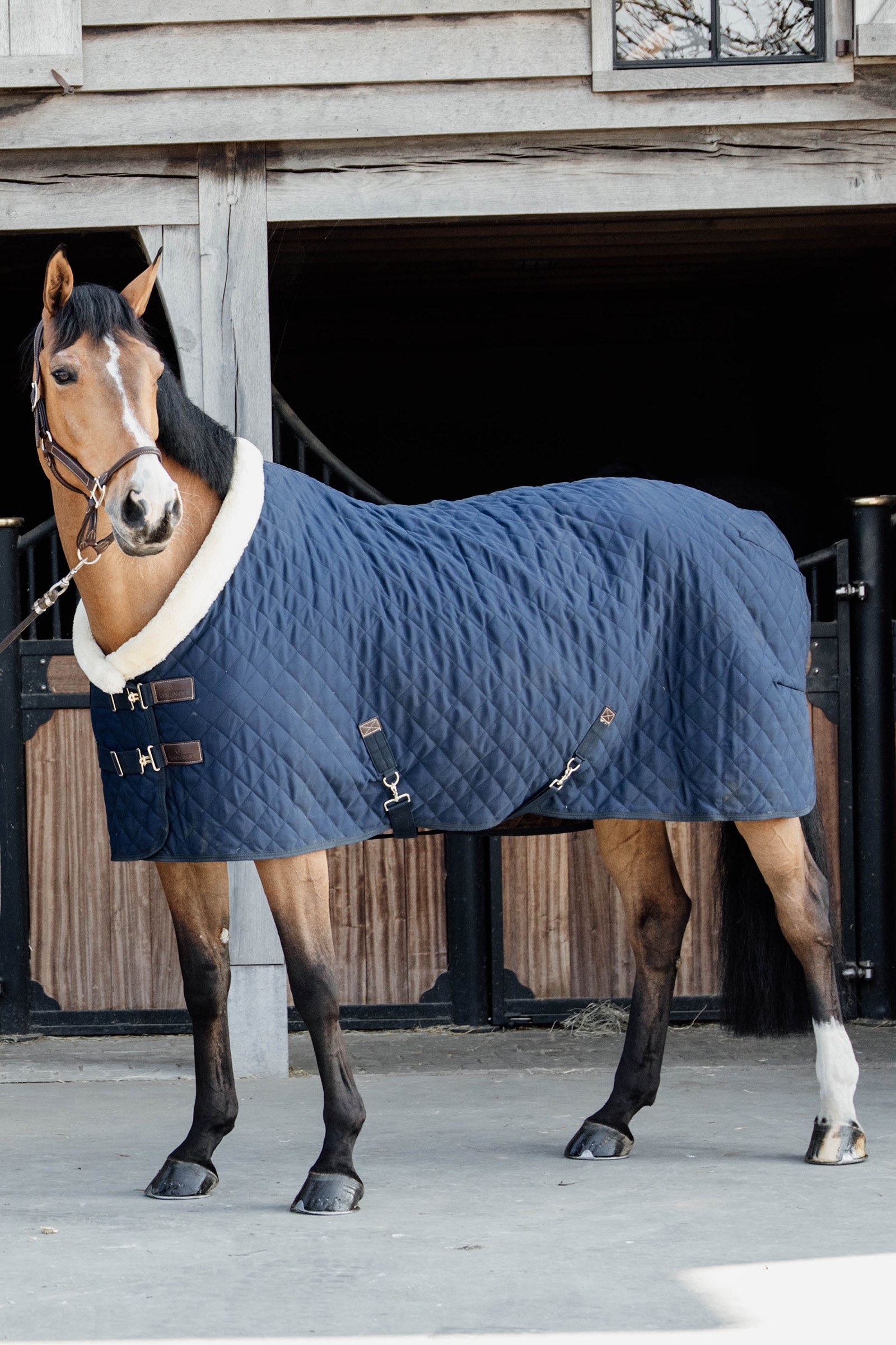 DB/AB Kentucky Couverture de PrésentationHorsewear 160g