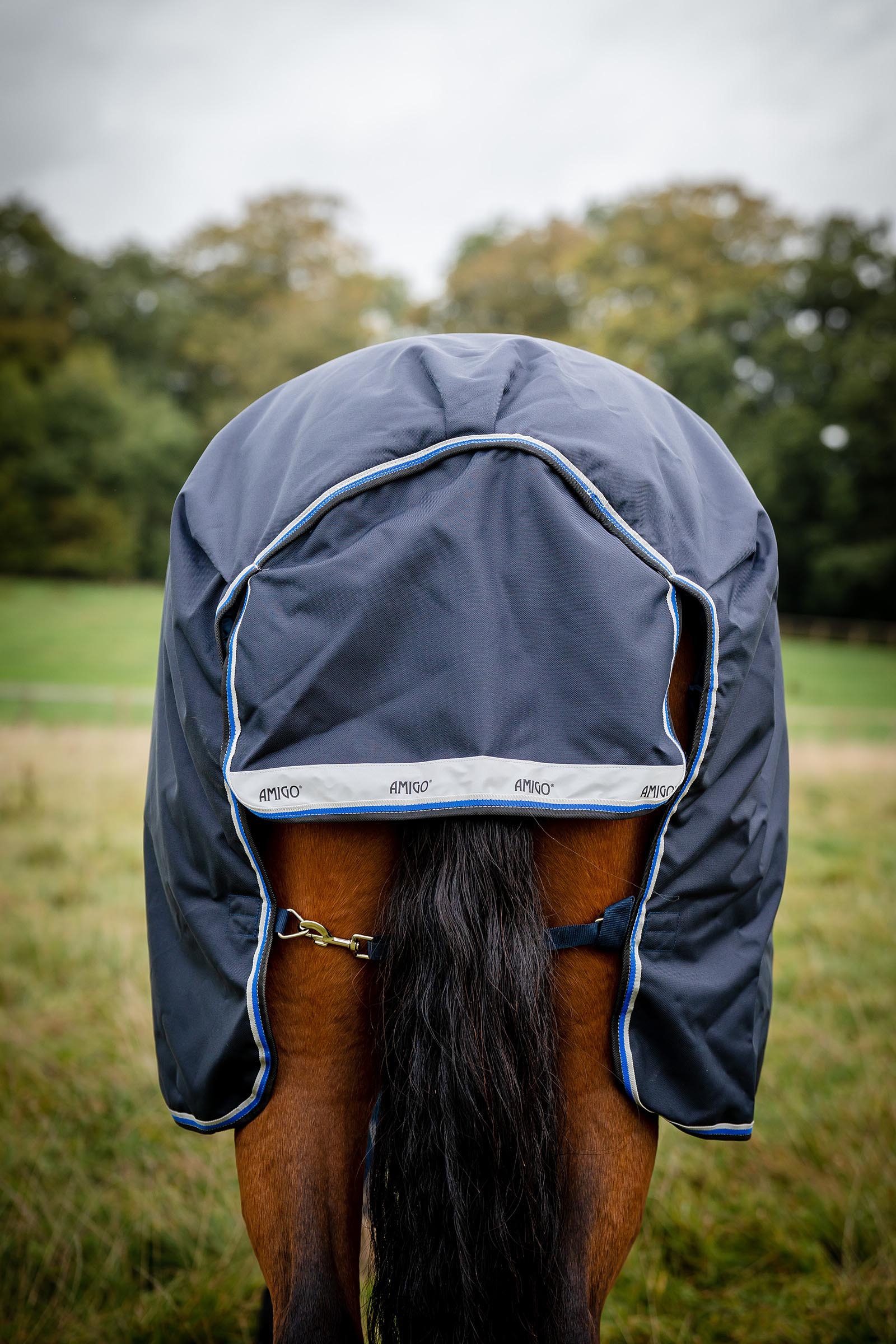 Horseware Amigo Bravo 12 Original couverture d'ext&eacute;rieur, 250g