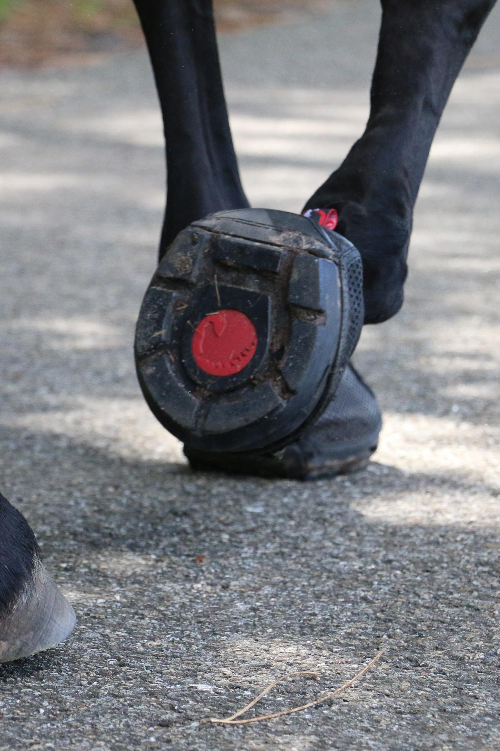 Cavallo Hoof Boots F.R.A. Trek Hipposandales (&eacute;troite/paire)