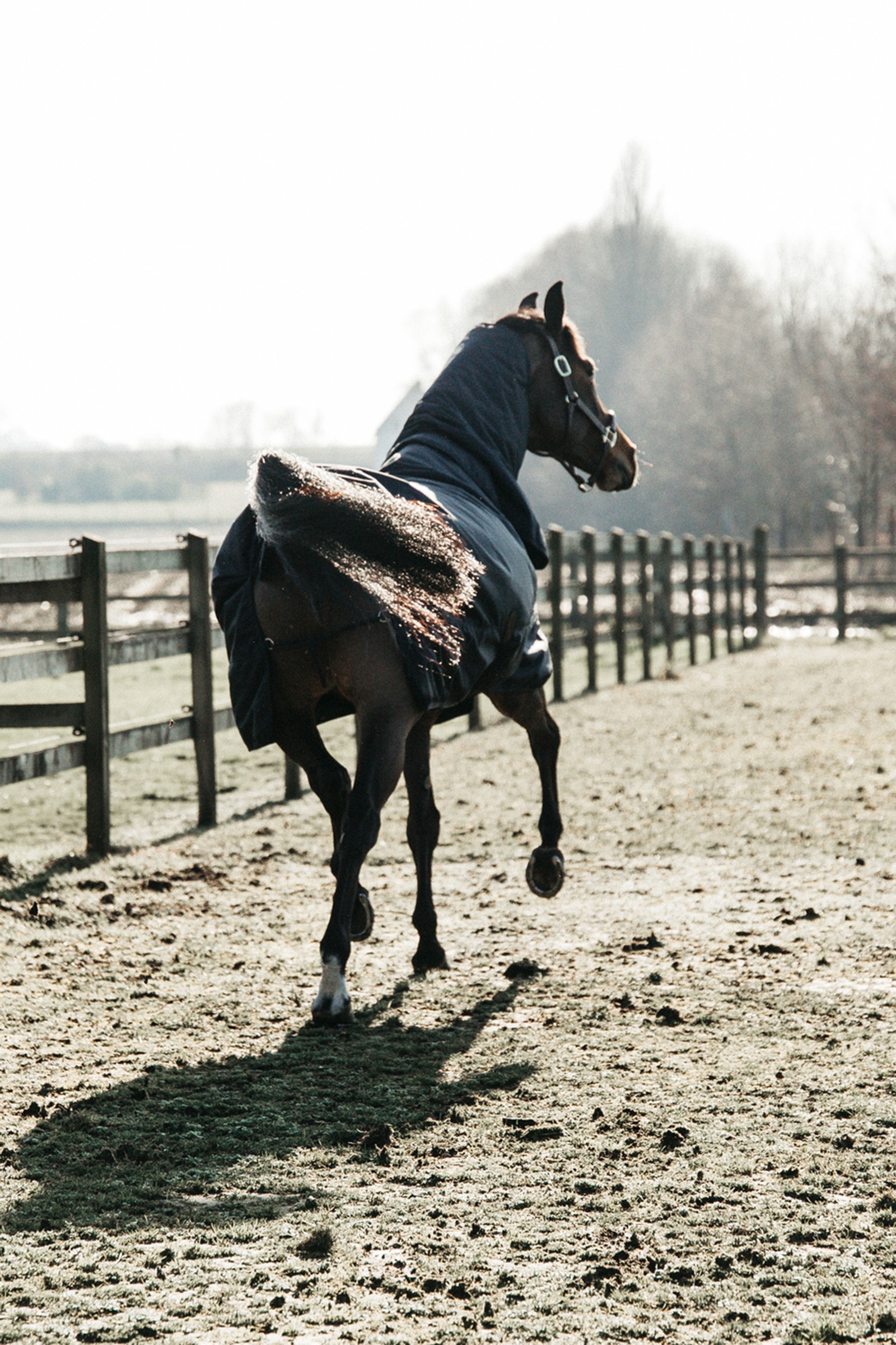 Kentucky Horsewear Turnout Rug All Weather Waterproof Classic, 50g