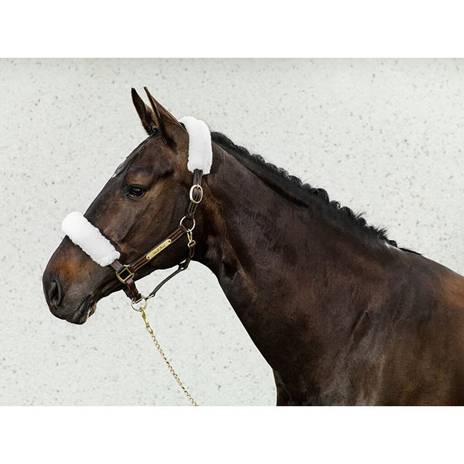 Fourreaux de licol Back on Track