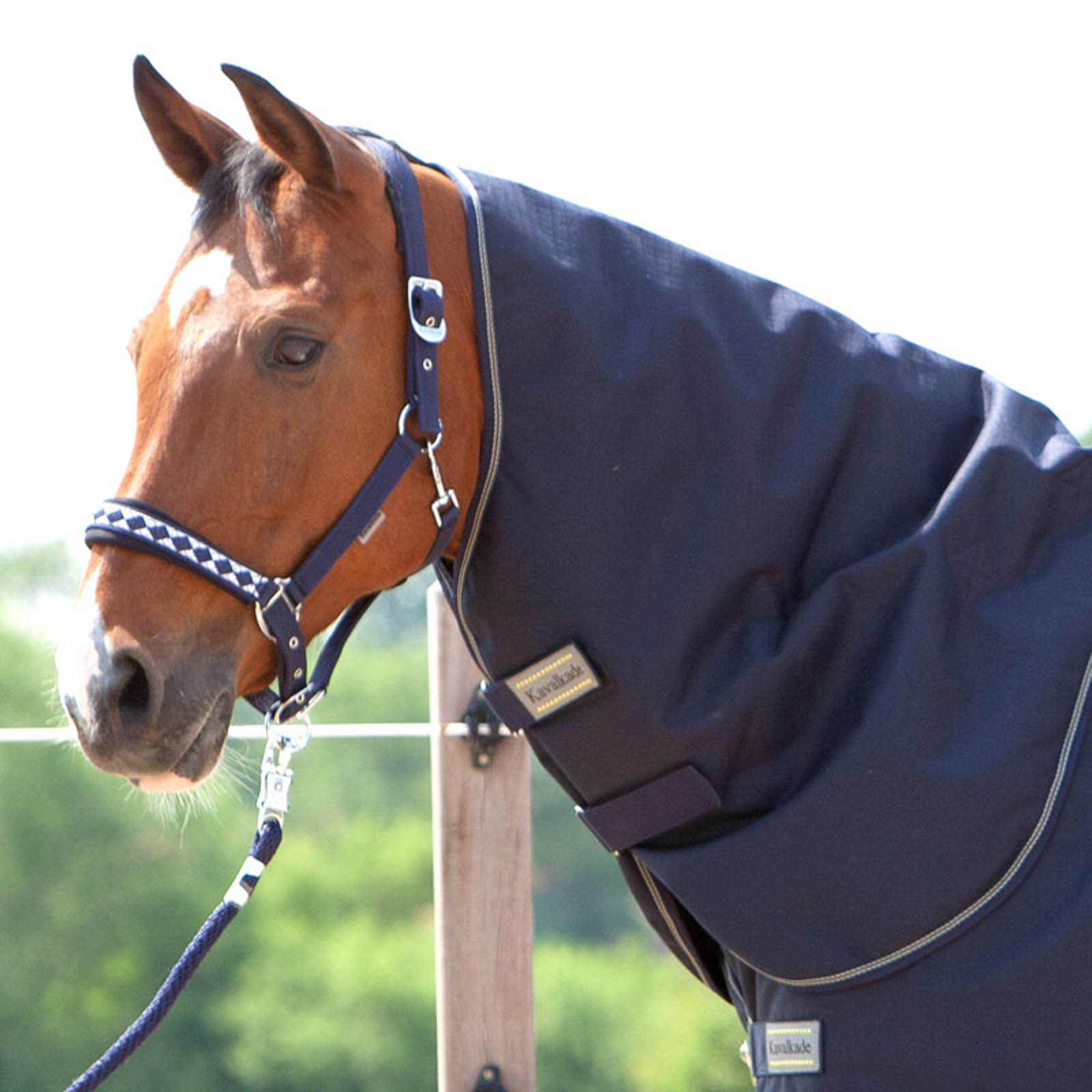 DB/AB Couvre-encolure pour couverture Kavalkade Montreal, 100 g