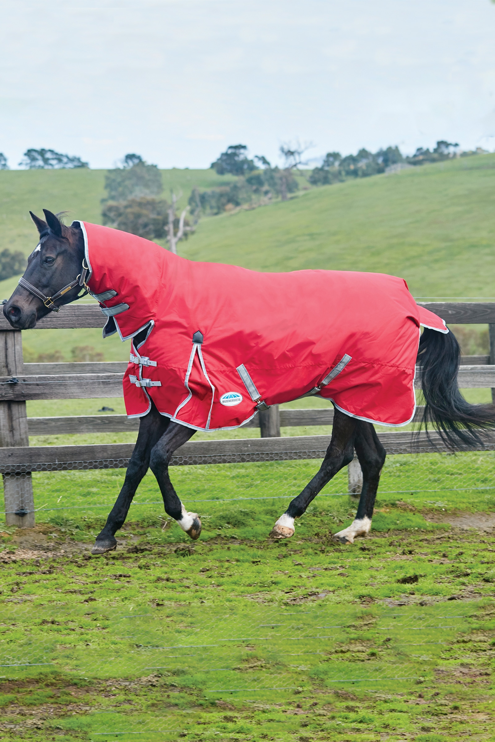 Weatherbeeta Comfitec Classic Couvertures cheval avec encolure intégrée, 50g