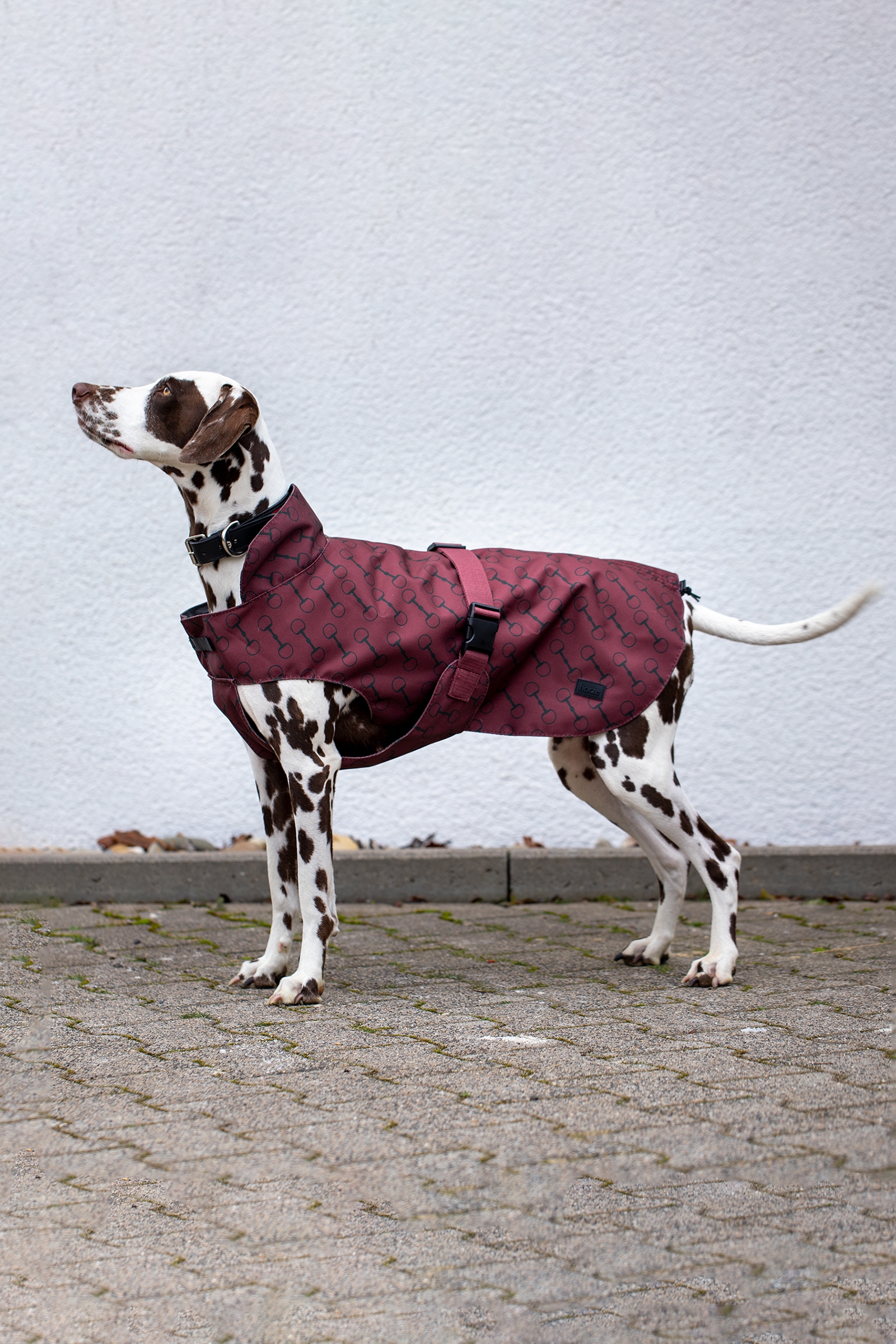 Burgundy Red Mahogany Manteau pour chien Horze Noir avec impression