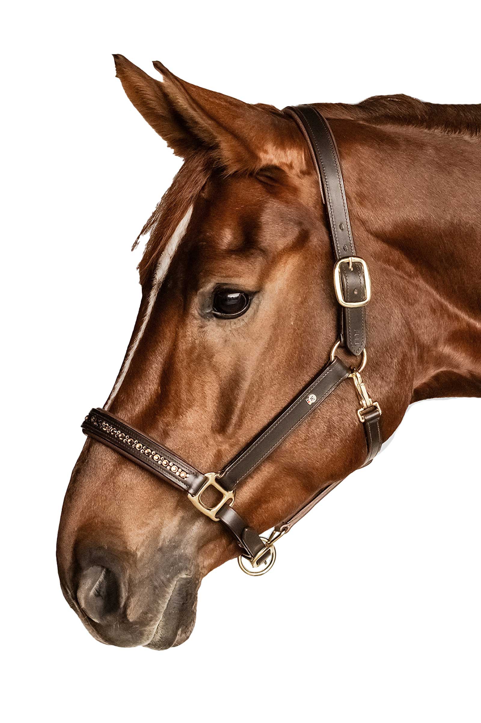 Waldhausen X-Line Crystal Licol en cuir