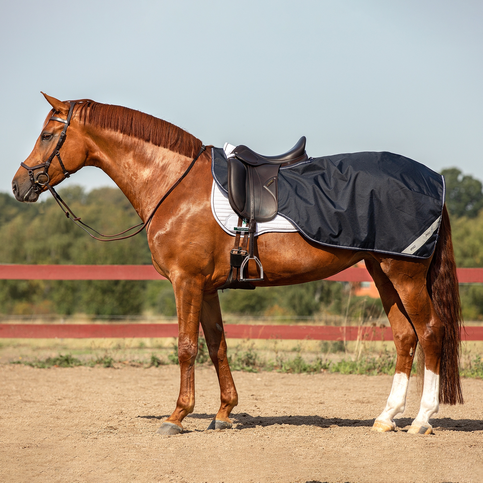 Couvre-reins Horseware Amigo Ripstop